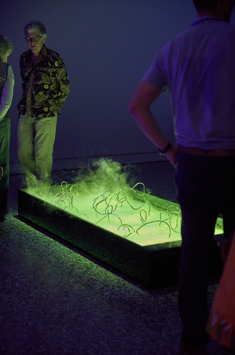 Ella Barclay, Dense Bodies and Unknown Systems, 2021, three-channel video installation with sound, acrylic, aluminium, electronics, water. Photo: Jeremy Wiehrauch