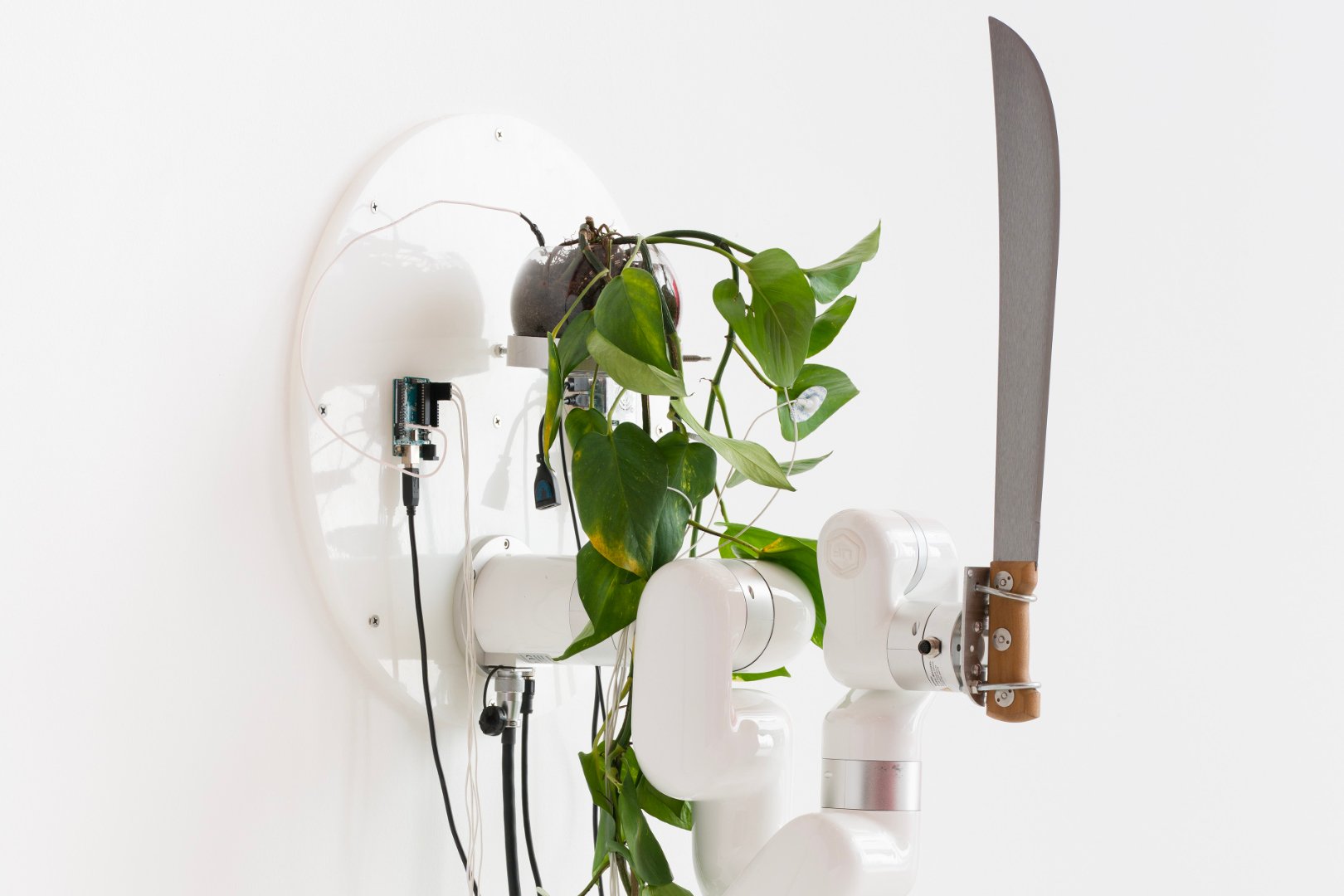 Installation view of NOT NATURAL, Science Gallery Melbourne, the University of Melbourne, 2024, featuring David Bowen, <em>Plant Machete</em>. Photo: Matthew Stanton