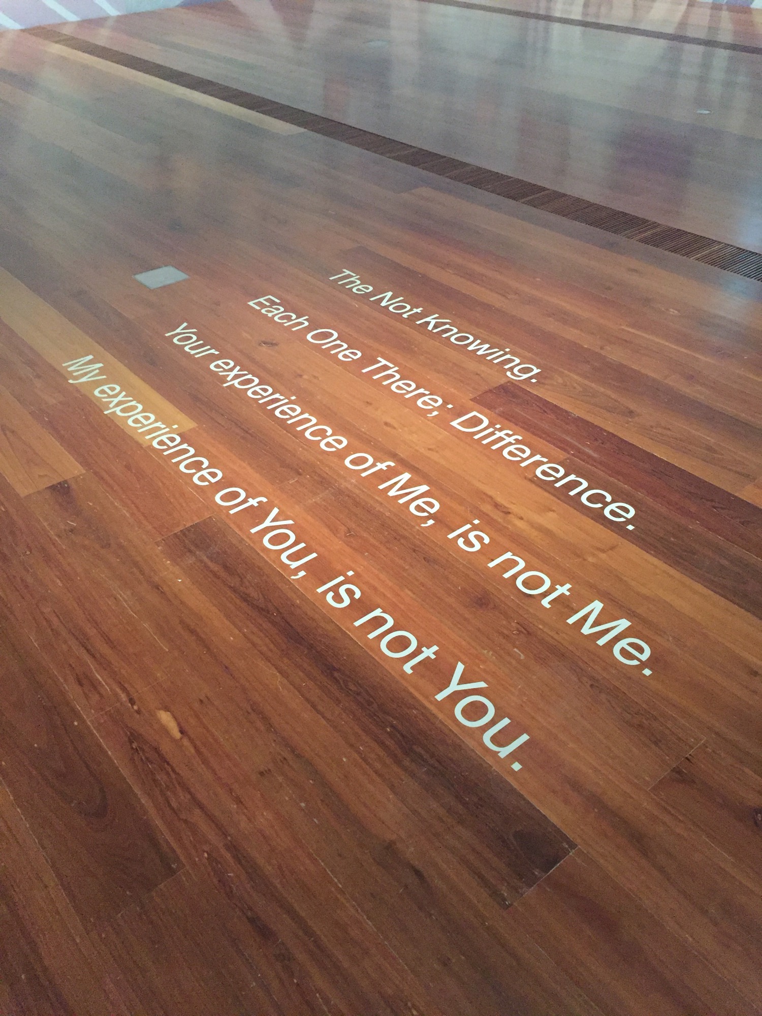 <em>Our Knowing and Not Knowing: Helen Maudsley</em>, installation view