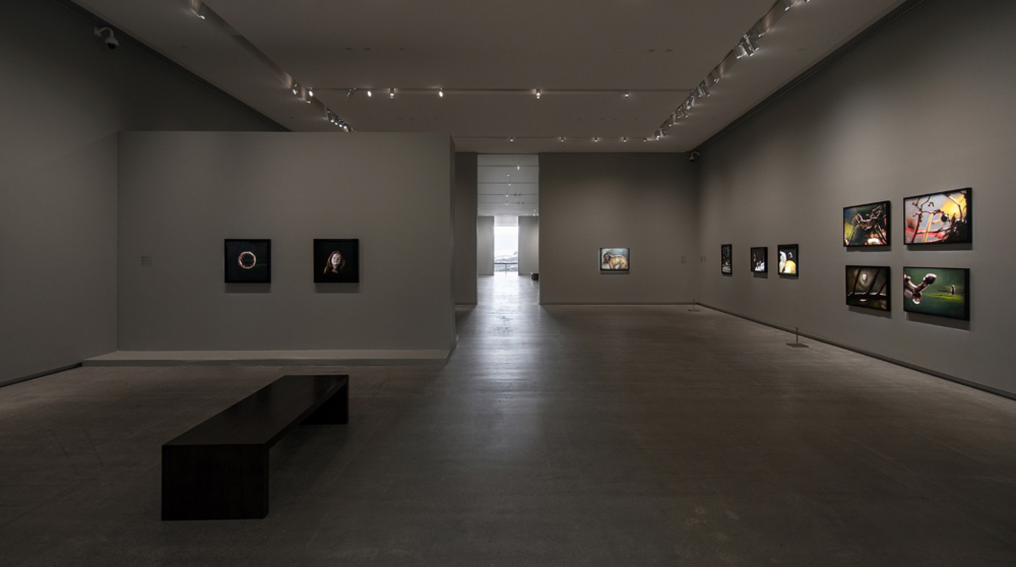 <em>Louise Hearman</em>, installation view, TarraWarra Museum of Art, 18 February – 14 May 2017. Exhibition organised and toured by the Museum of Contemporary Art Australia. Photo: Andrew Curtis