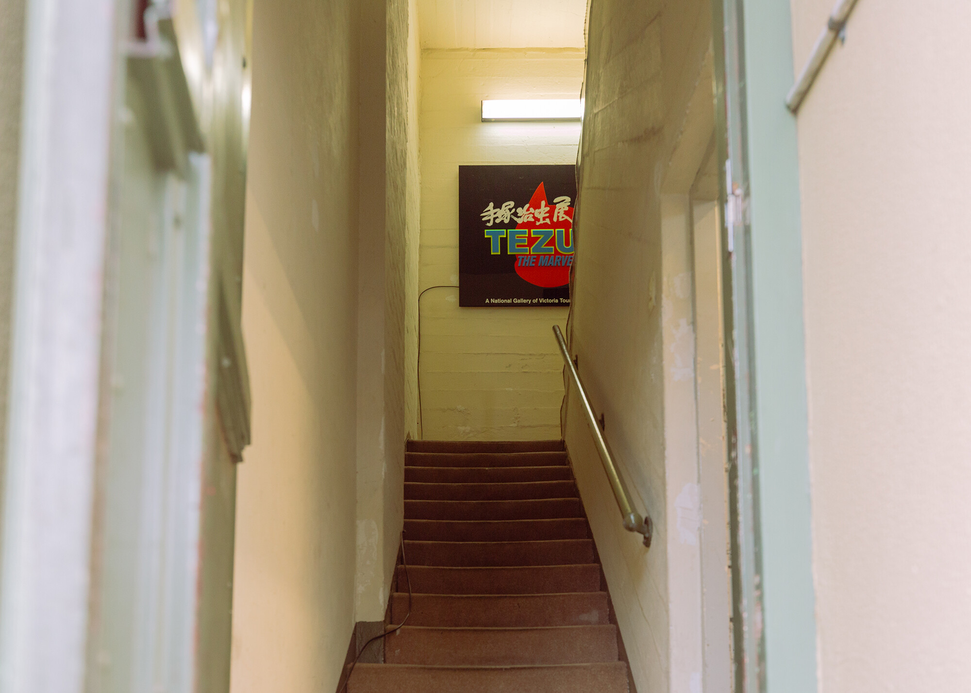 <p>The front door and entrance stairs. Photograph by Laura Banfield.</p>