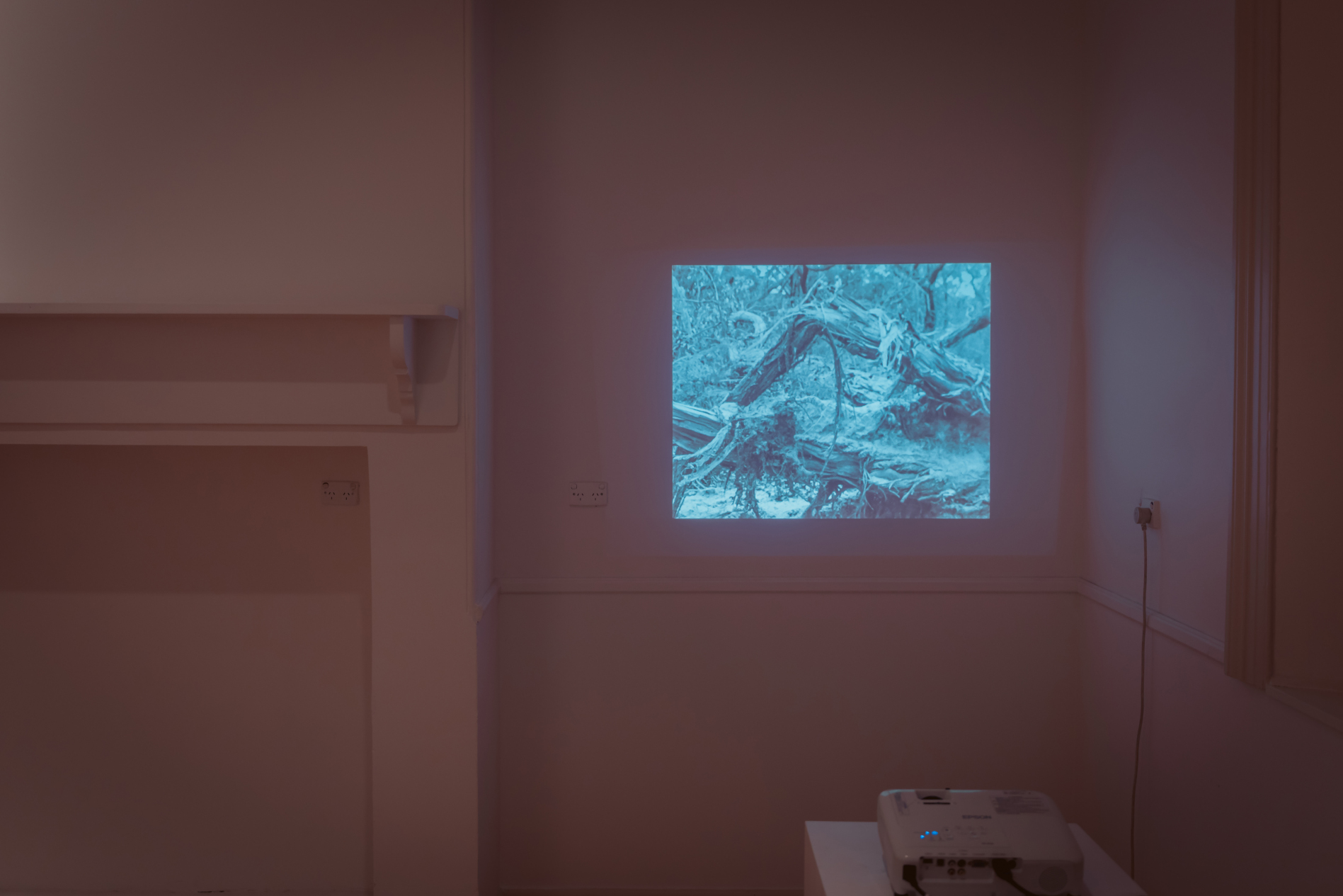 Kelly Bartolomeusz and Jenn Tran, <em>How to Build a Forest</em>, 2022. Image credit: Matto Lucas