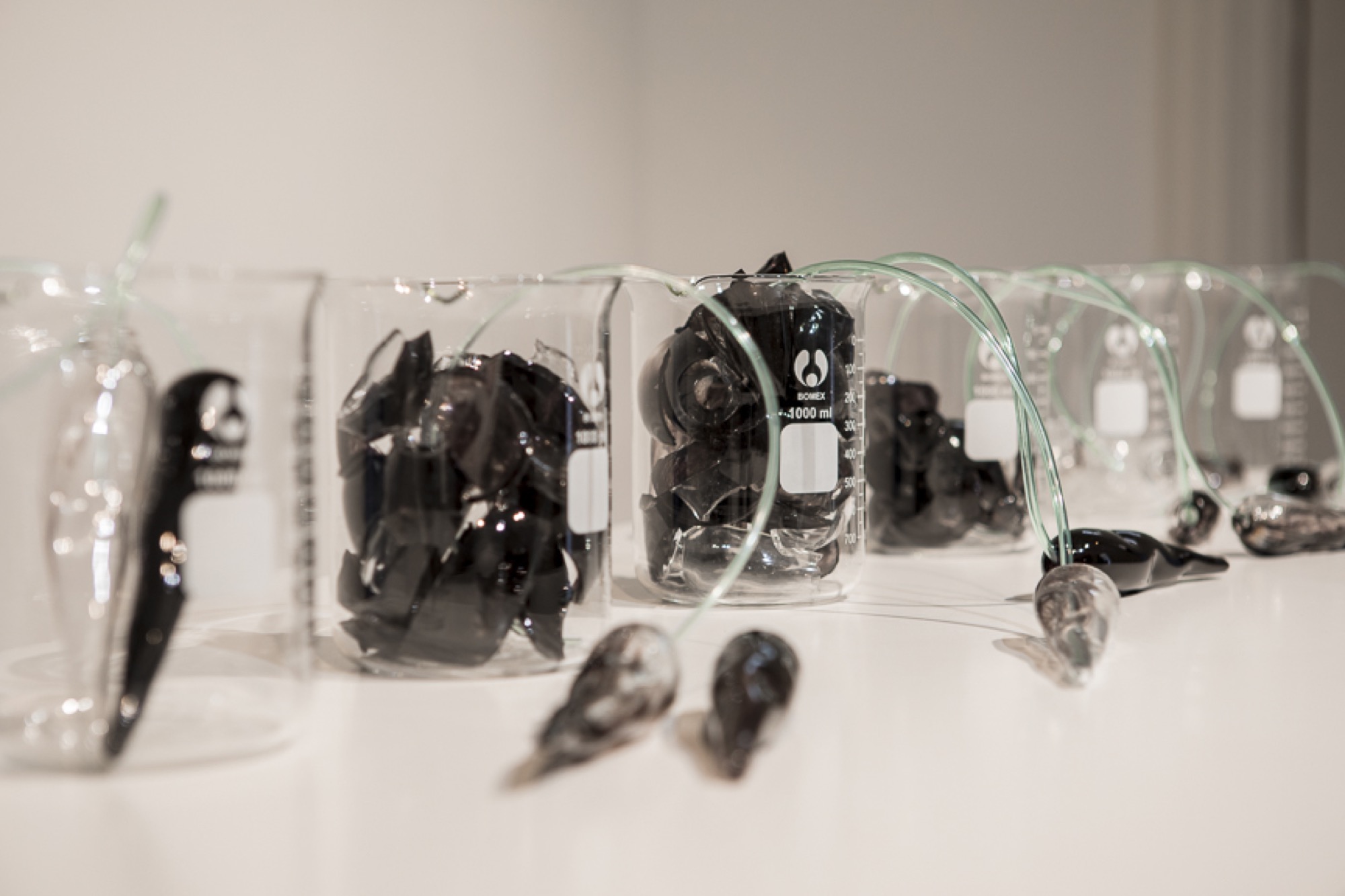 Yhonnie Scarce, <em>The more bones the better</em>, glass, 2016, installation view, Bundoora Homestead, 2019 Photo: courtesy of the gallery