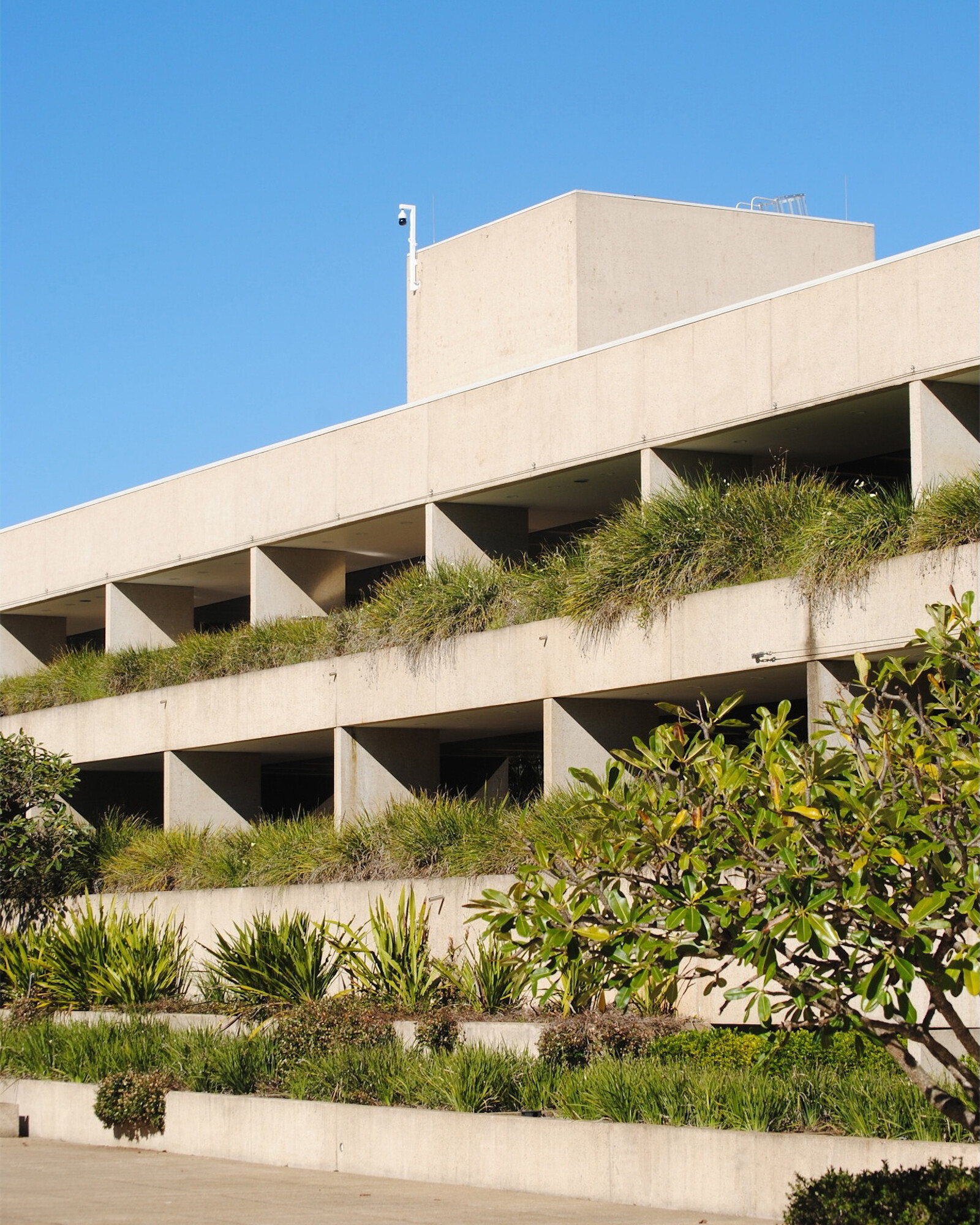 <p>The singular light-concrete surface is vegetated on its fringes. Photographer and date <a href="https://64.media.tumblr.com/2a820f5376bde08d1c19536f31a4e2b8/tumblr_putg3yOCcR1ryrw9io1_1280.jpg">unknown</a>.</p>