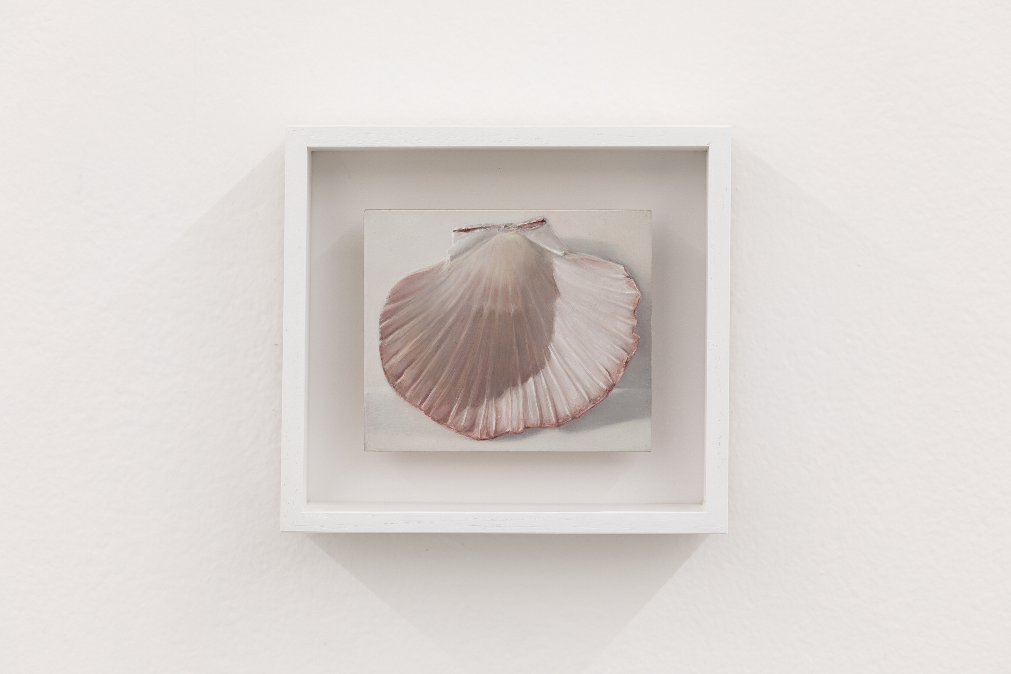 <p>Rachael Robb, <em>Scallop shell</em>, 2025, oil on gesso panel, 16.5 x 14.5 (framed). Photo: Andrew Curtis.</p>