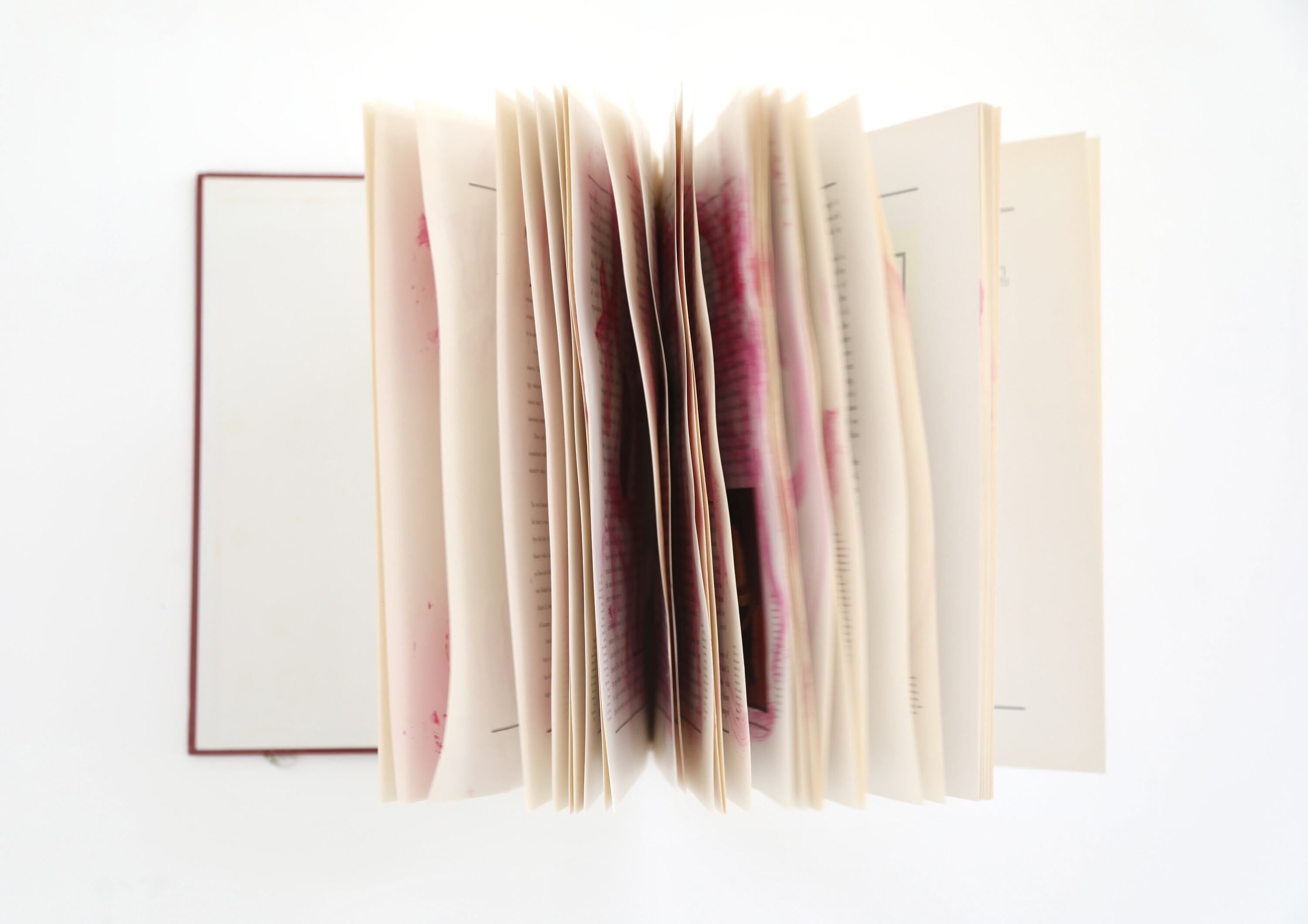 <p>Michael Farrell, 2024, <em>Hate Paintings, </em>acrylic paint on found book, 2024. Image courtesy of the artist and Visual Diary.</p>