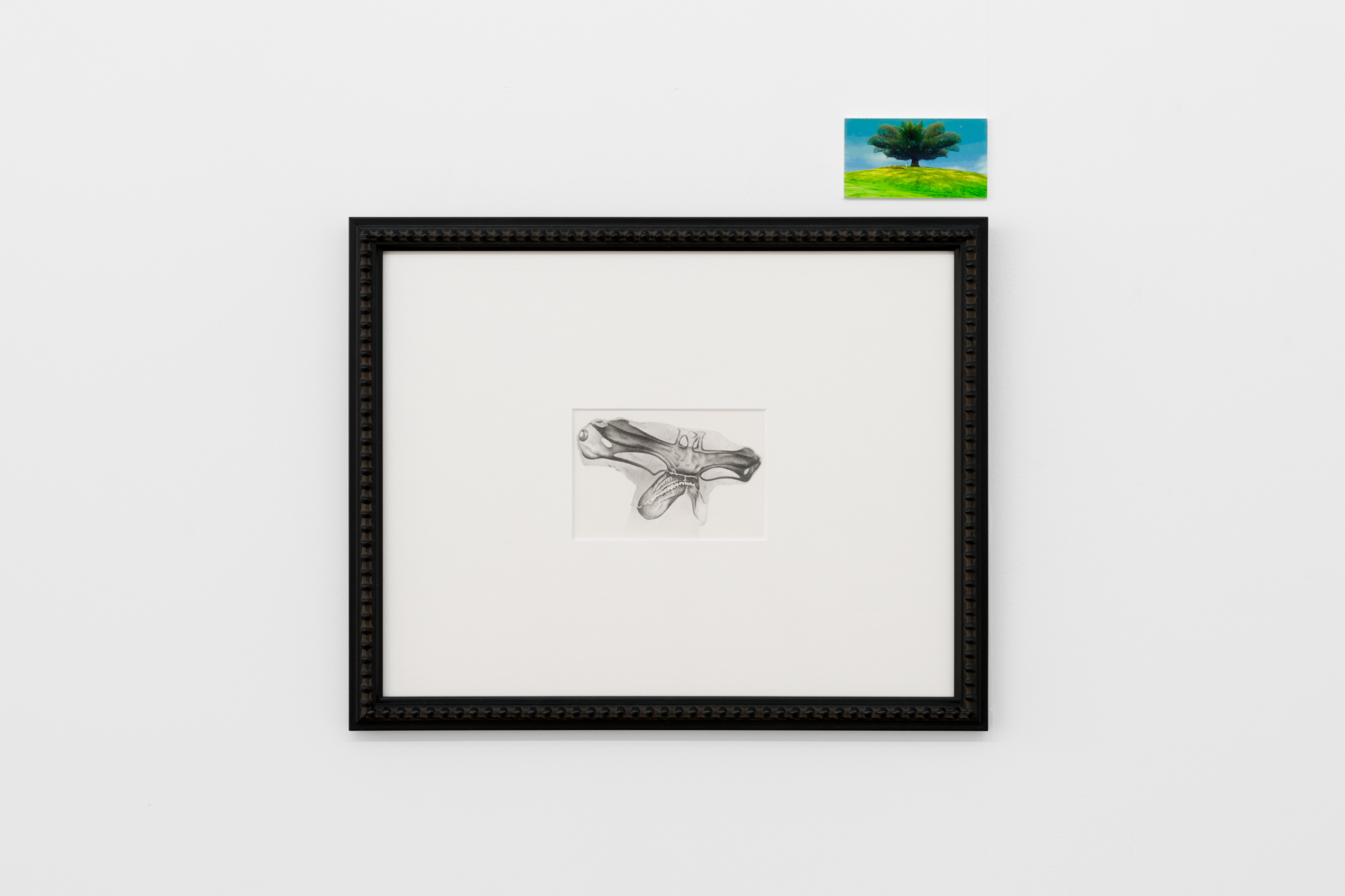 James Little, <a href="https://youtu.be/cmYsRcLMvO8">youtu.be/cmYsRcLMvO8</a>, 2022. Digital print, 10 x 13 cm. Image courtesy of the artist. Photo: Aaron Rees.
