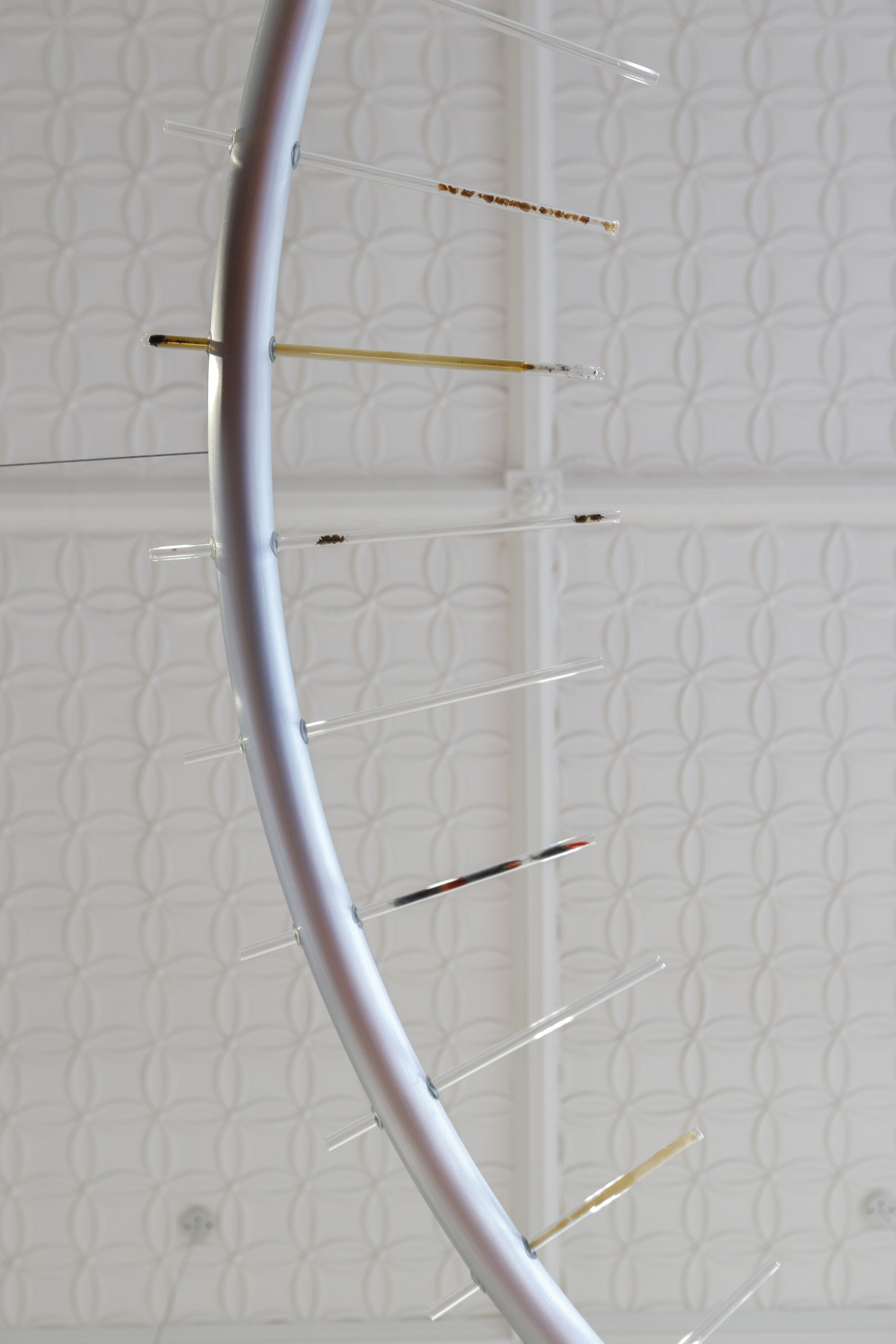 <p>Gabrielle Skye Nehrybecki and Olive Guardiani, <em>Requiem in Power (RIP), </em>2026, aluminum, soda glass, feathers, tree sap, charcoal, bees, beeswax, Corprinus comatus (Shaggy ink cap). Photo: James Henry</p>