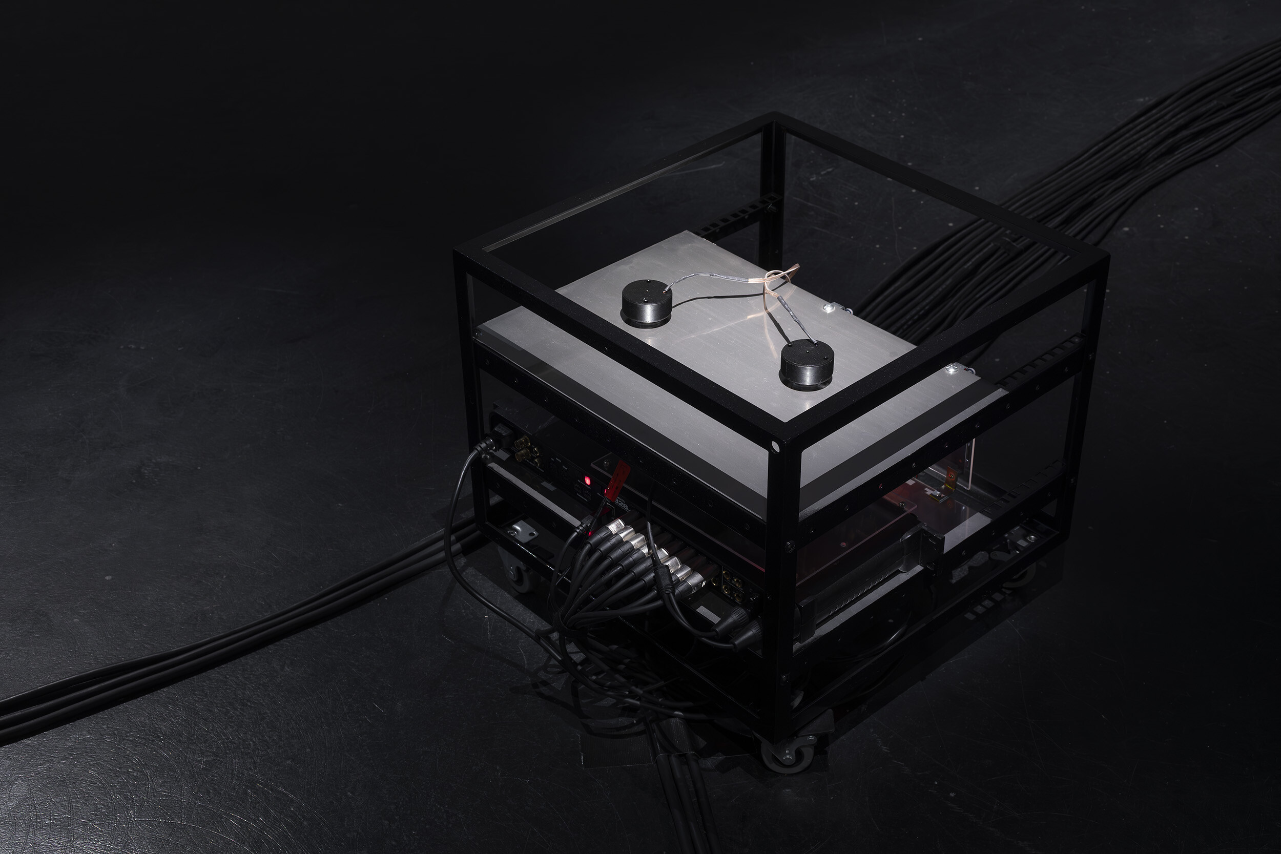 <p>Detail of Lewis Gittus, <em>A Swarming of Points</em>, 2026, ten-channel audio and single-channel video, 25 minutes and 20 seconds, Fiona and Sidney Myer Gallery, the University of Melbourne. Photo: Christian Capurro.</p>