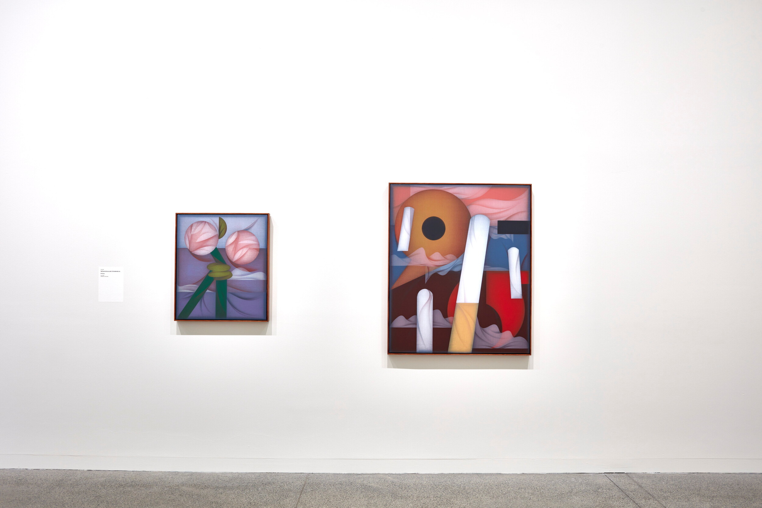 <p>Installation view of the Mitch Cairns, <em><em>Restless Legs</em></em> at the Art Gallery of New South Wales 2025. Photo: Mim Stirling. Courtesy the artist, Art Gallery of New South Wales and The Commercial, Sydney.</p>