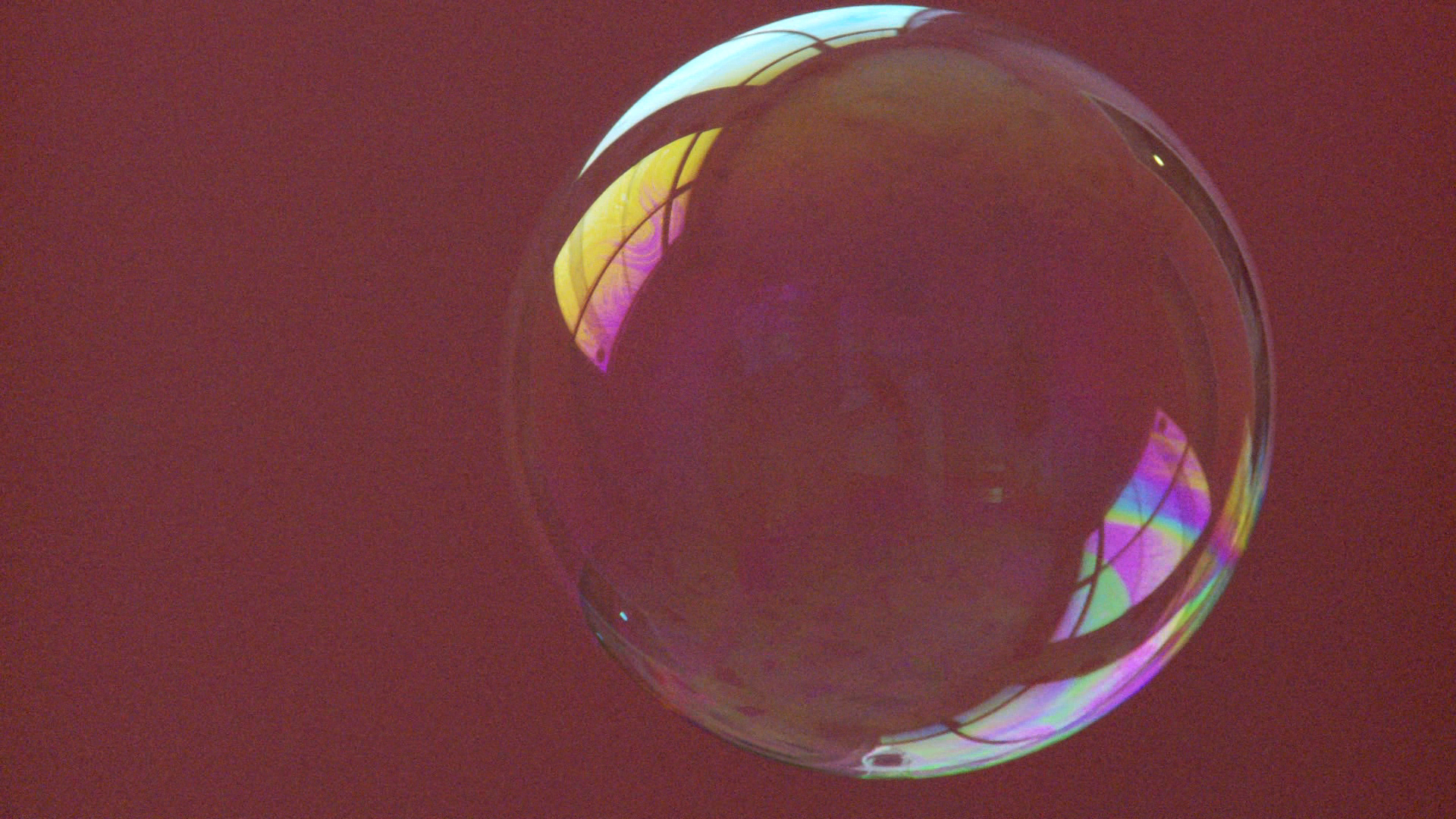 Rivane Neuenschwander and Cao Guimarães, <em>The Tenant</em>, 2010. High definition video projection, 10:34, video still. Courtesy of the artists.