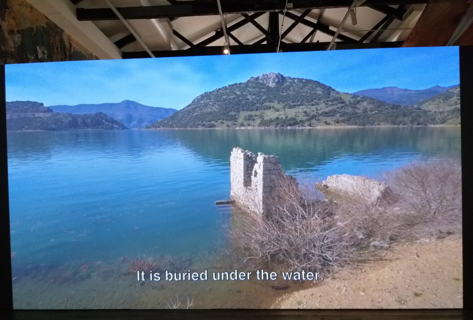 Latent Community, NEROMANNAt, 2019 (detail). Courtesy the artist. Installation view, 23rd Biennale of Sydney, rīvus, 2022, National Art School. Photography: Document Photography.