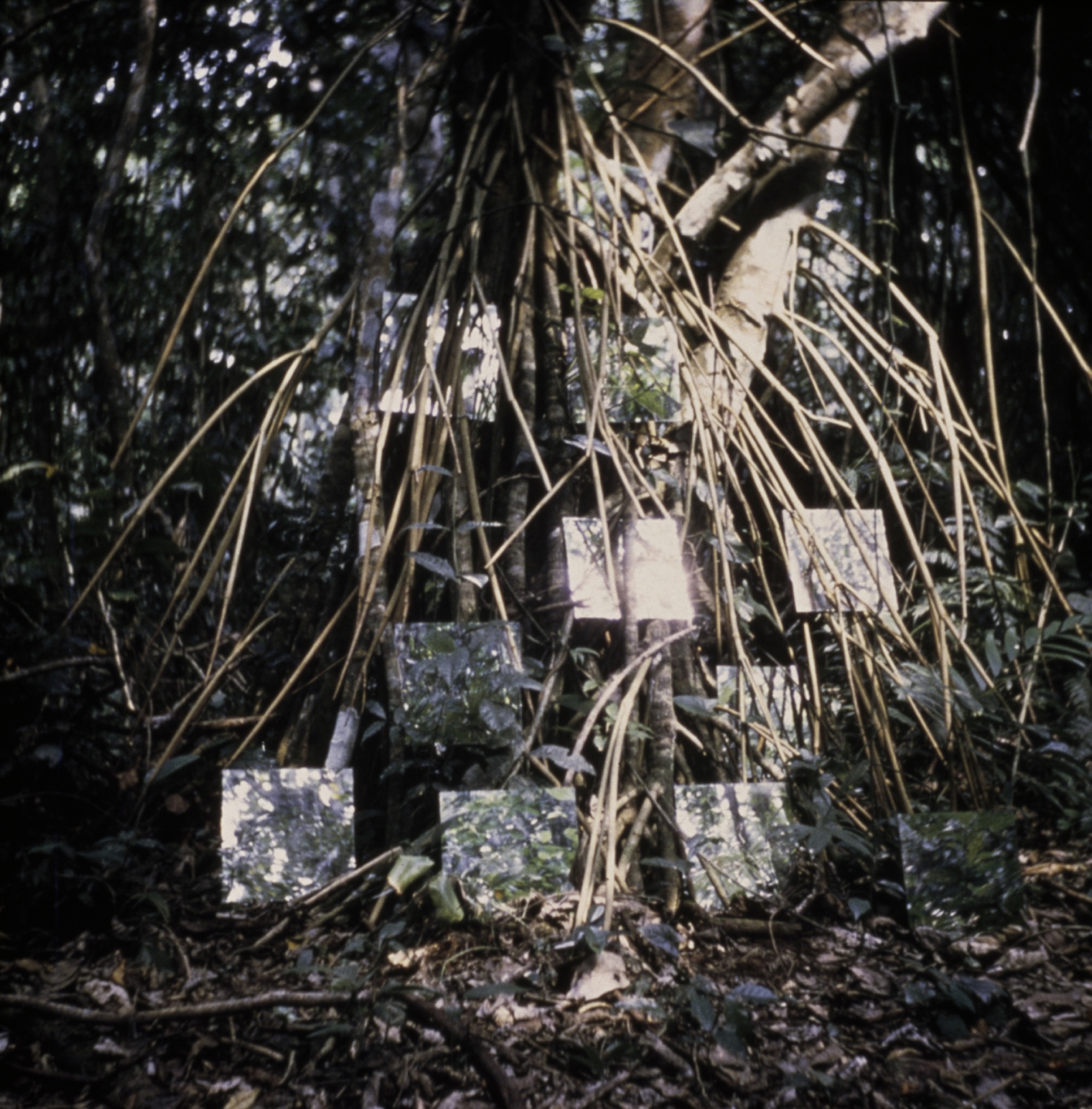 Robert Smithson, <em>Yucatan Mirror Displacements</em> (1—9) 1969 (detail), nine chromogenic prints from original 126 format slides, each image 61 x 61 cm. The Solomon R. Guggenheim Museum, New York Purchased with funds contributed by the Photography Committee and with funds contributed by theInternational Director’s Council and Executive Committee Members: Edythe Broad, Henry Buhl, Elaine Terner Cooper, Linda Fischbach, Ronnie Heyman, Dakis Joannou, Cindy Johnson, Barbara Lane, Linda Macklowe, Brian McIver, Peter Norton Foundation, Willem Peppler, Denise Rich, Rachel Rudin, David Teiger, Ginny Williams and Elliot K. Wolk, 1999. Photo: The Solomon R. Guggenheim Foundation / Art Resource, NY. © Holt-Smithson Foundation/VAGA. Licensed by Viscopy, 2017.