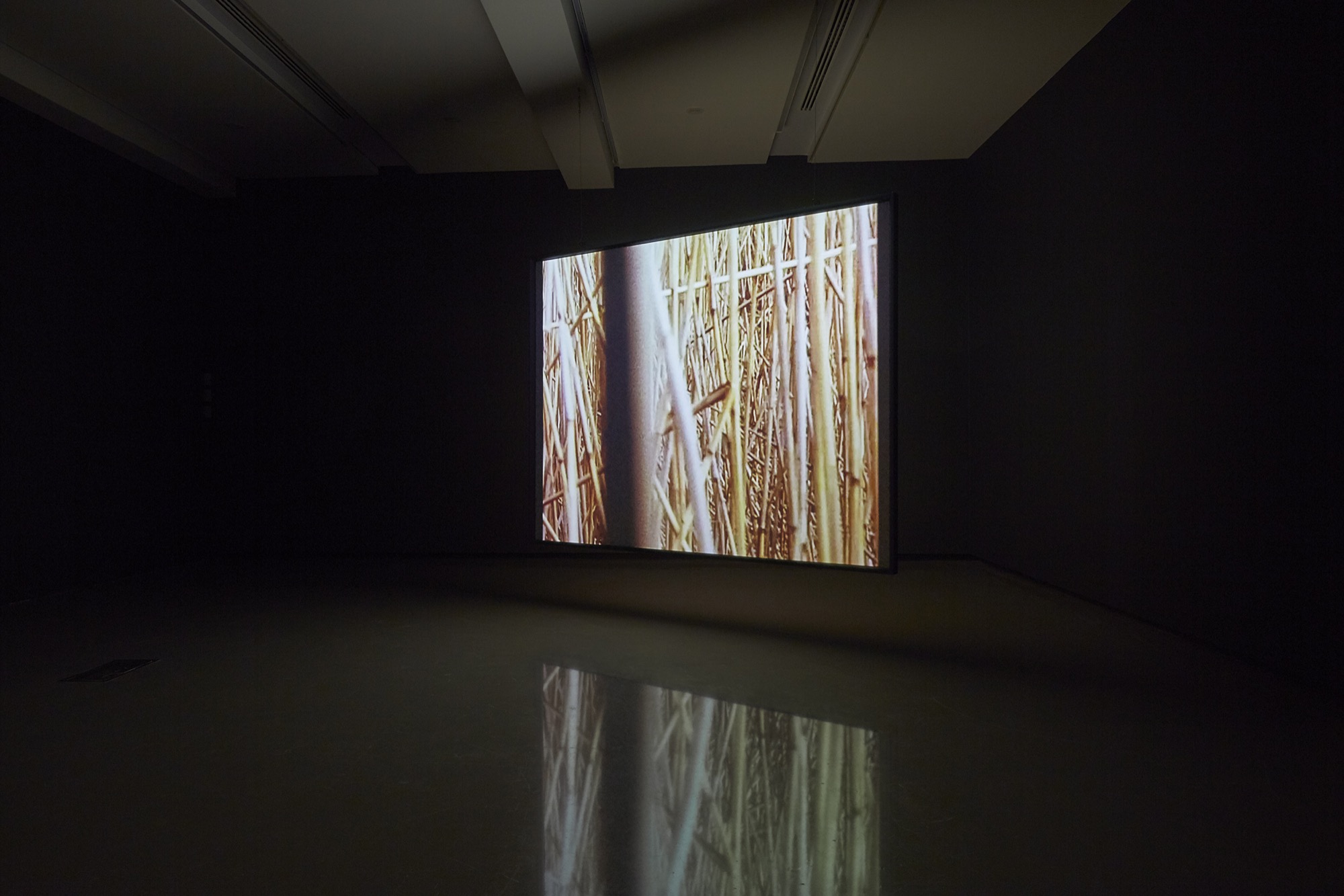 <em>Robert Smithson: Time Crystals</em>, Monash University Museum of Art, installation view: Monash University Museum of Art, Melbourne, 2018. Photo: Christian Capurro.