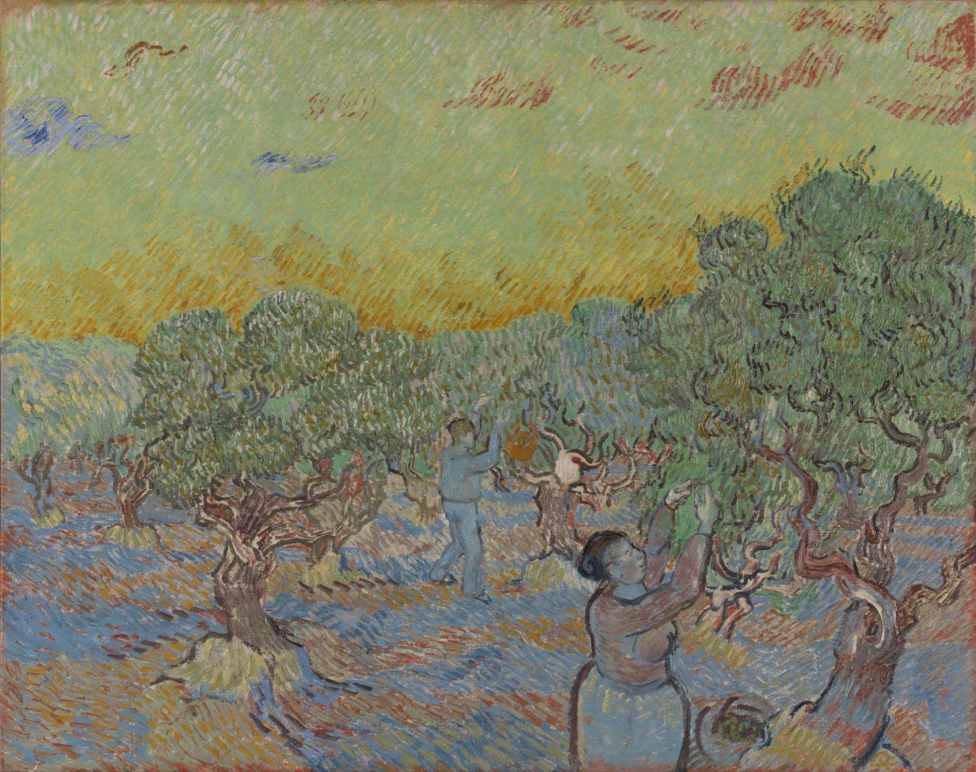 Vincent van Gogh, <em>Olive grove with two olive pickers</em>, December 1889 Saint-Rémy, oil on canvas, 73 x 92 cm. Kröller-Müller Museum, Otterlo © Kröller-Müller Museum