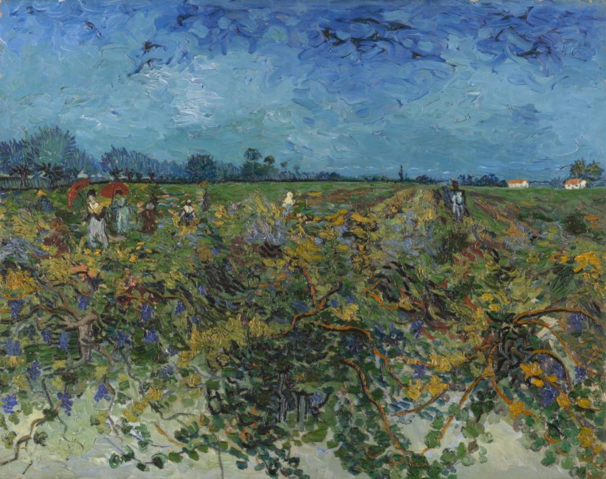Vincent van Gogh, <em>The green vineyard</em>, 2–3 October 1888 Arles, oil on canvas, 72 x 92 cm © Kröller-Müller Museum