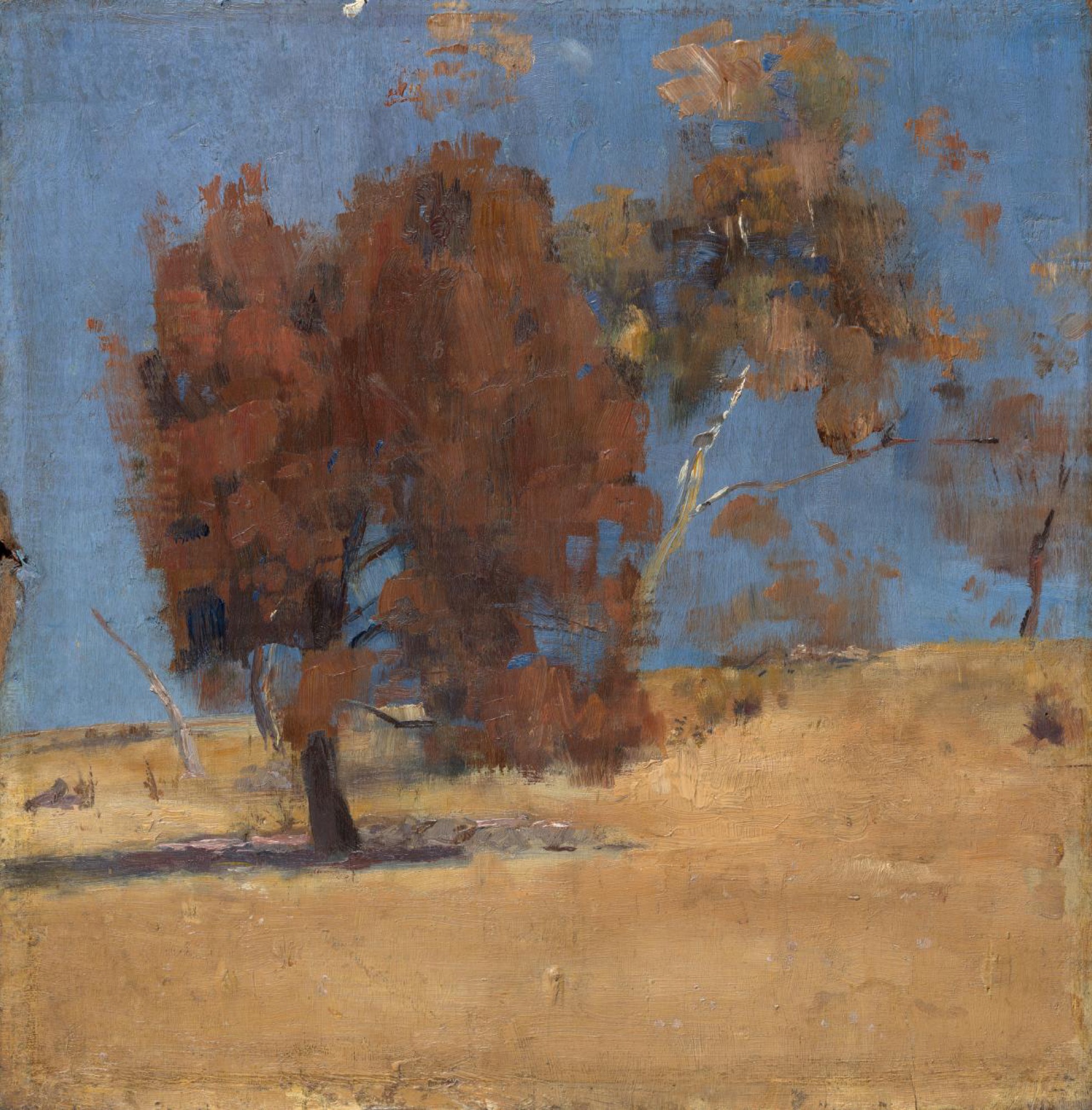 Tom Roberts, <em>She-oak and Sunlight</em>, 1889. Oil on wood panel, 30.4 × 30.1 cm. National Gallery of Victoria, Melbourne, Jean Margaret Williams Bequest, K. M. Christensen and A. E. Bond Bequest, Eleanor M. Borrow Bequest, The Thomas Rubie Purcell and Olive Esma Purcell Trust and Warren Clark Bequest, 2019.