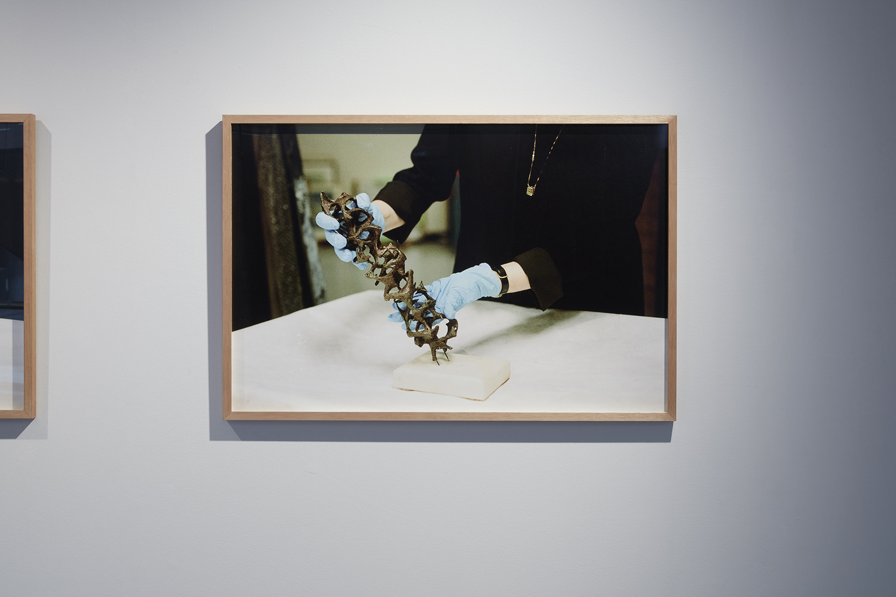 Diana Baker Smith, Movement Reconstructions No 2., installation view. UTS Gallery, 2022. Photo: Zan Wimberley