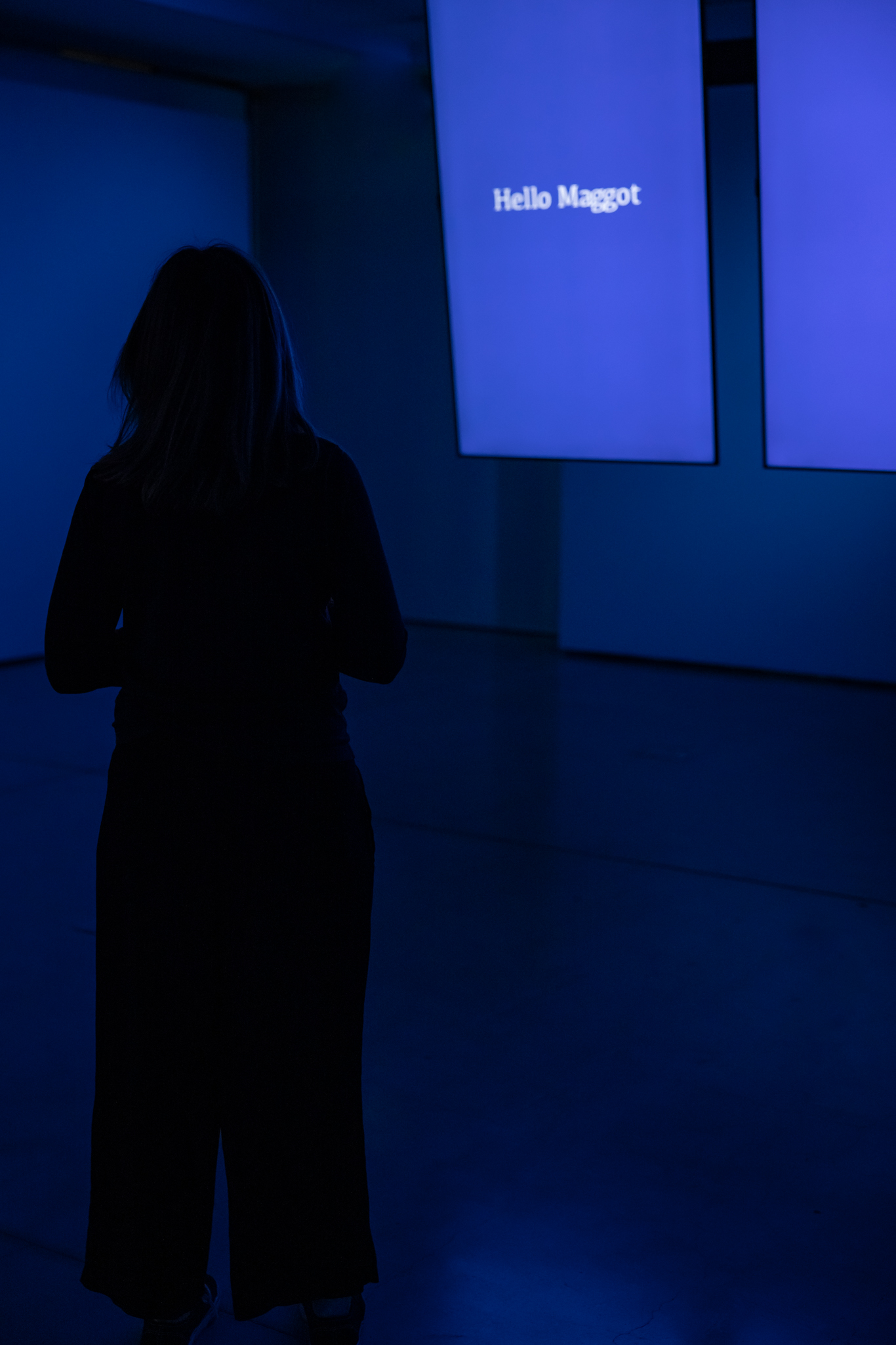 Sidney McMahon, <em>Maggot</em>, 2022, UTS Gallery. Photo: Jacquie Manning