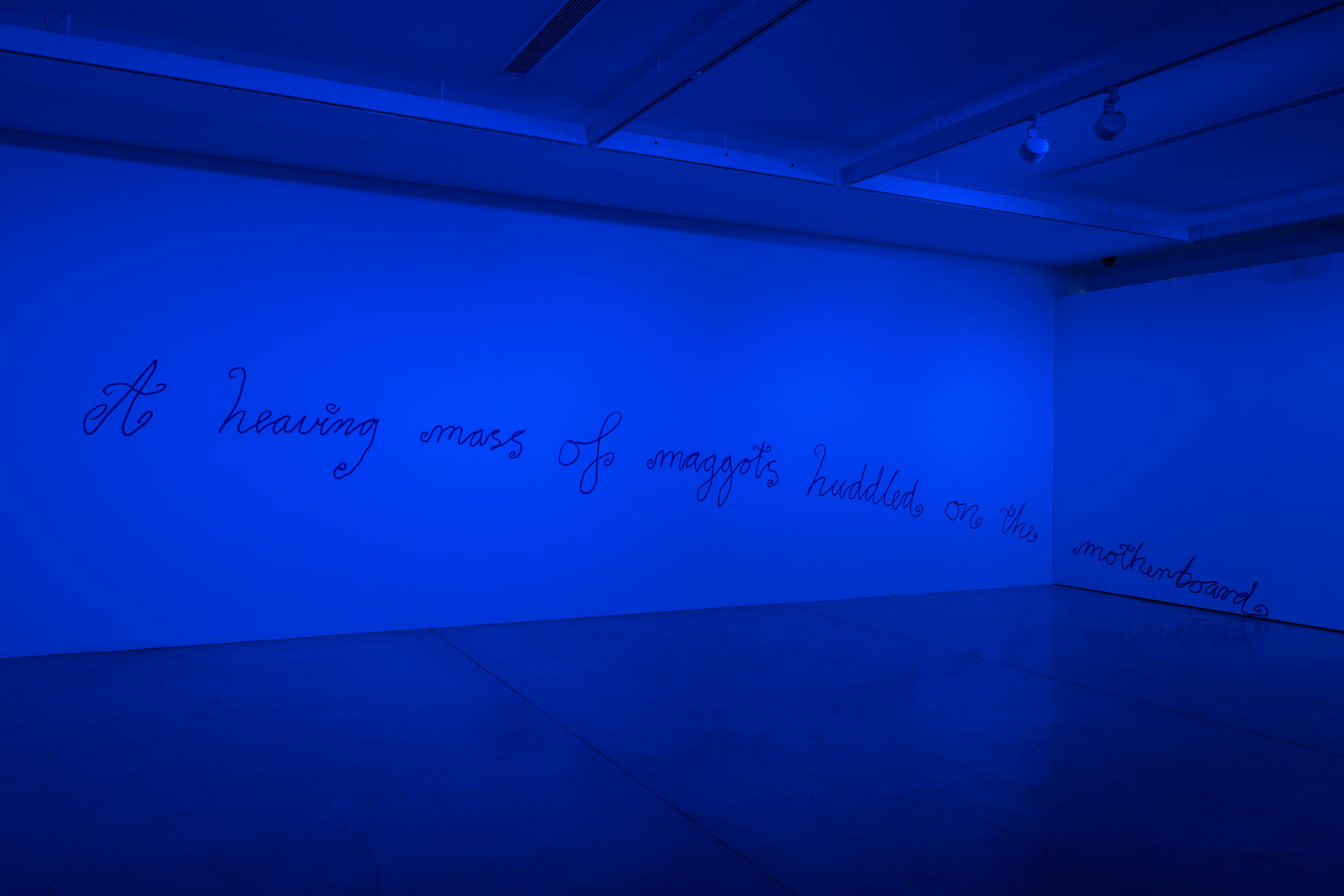 Sidney McMahon, <em>Maggot</em>, 2022, UTS Gallery. Photo: Jacquie Manning