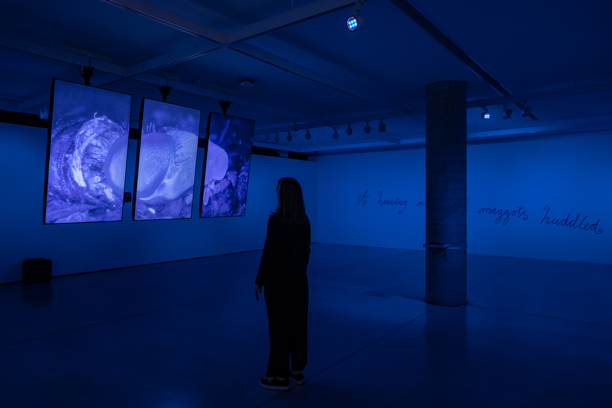 Sidney McMahon, <em>Maggot</em>, 2022, UTS Gallery. Photo: Jacquie Manning