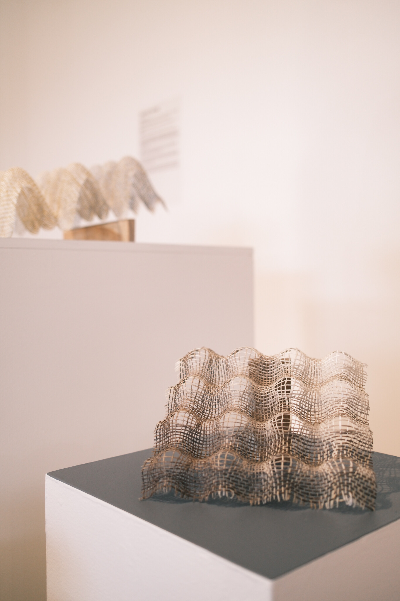 <p>Shao Chi Lin, from left: <em>Superposition No. 03-103</em>, 2023, paper yarn, myrobalan, pea flower, potato starch, 32 x 14 x 10 cm; <em>Superposition No. 03-102</em>, 2023, paper yarn, cutch, rice starch, 20 x 20 x 7 cm. Photo: Tom Hvala</p>
