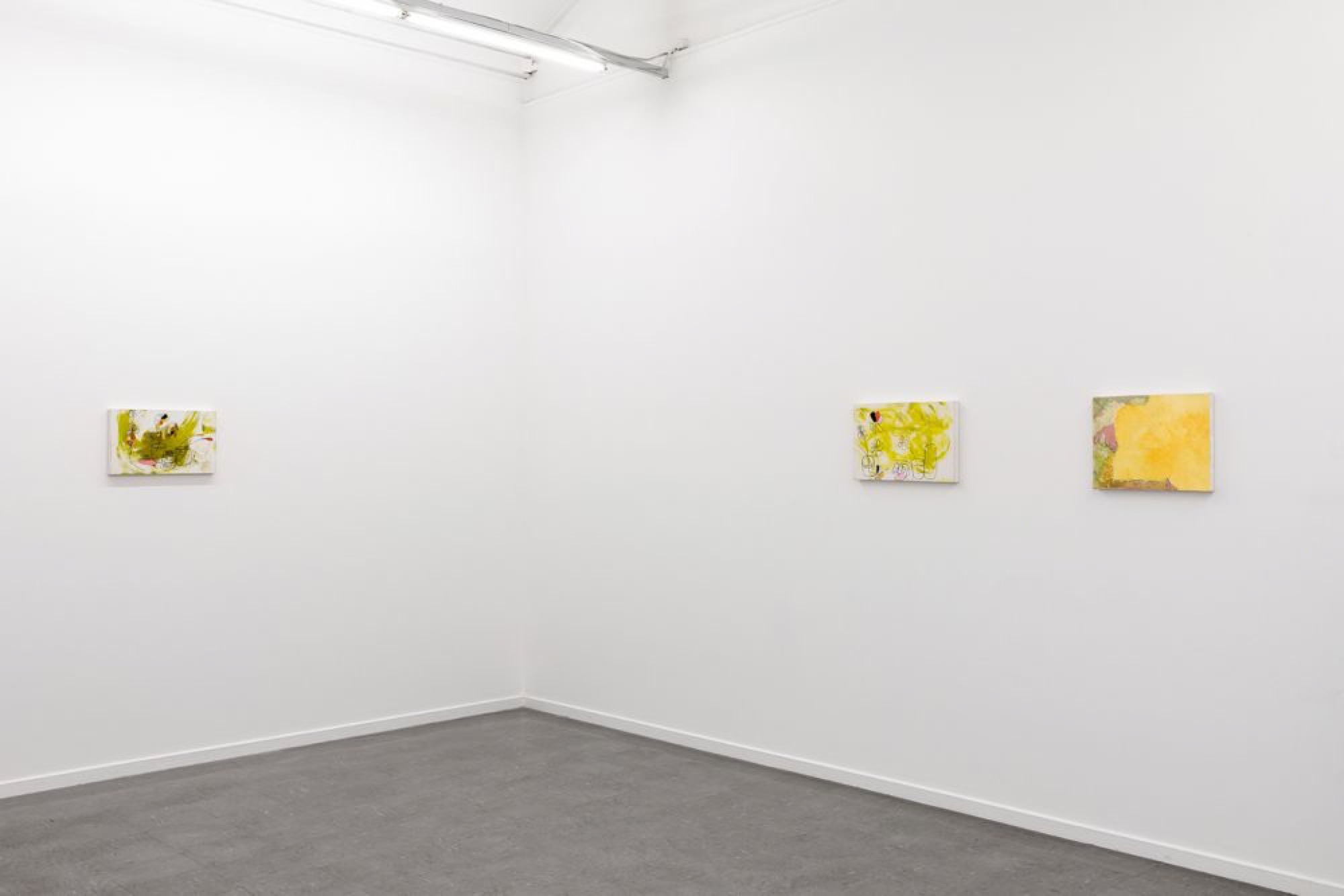 Kate Smith, <em>An Impression of an impression,</em> 2017, installation view. Photo credit: Andrew Curtis.