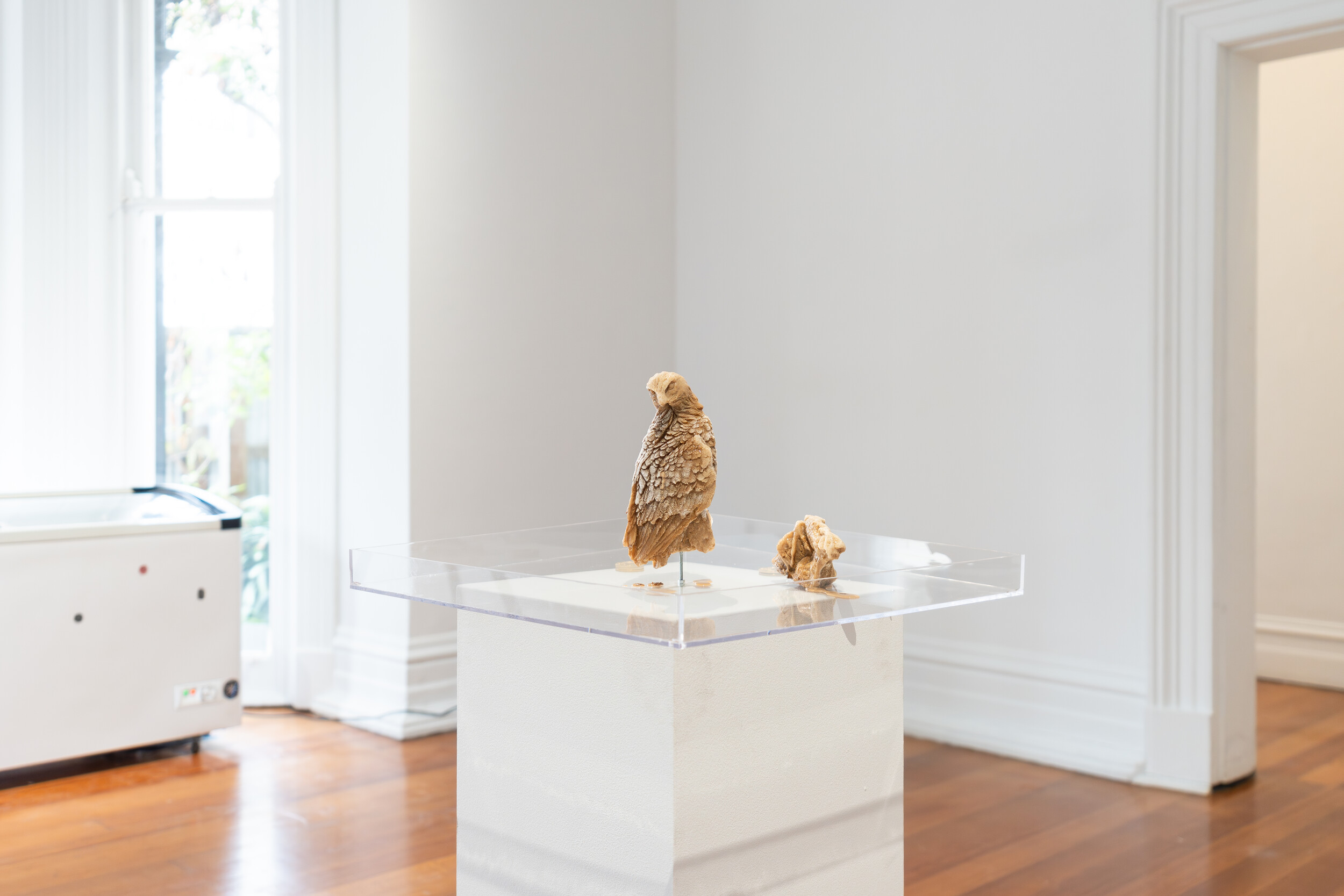 <p>Installation view of Lane Cormick, <em>Real Bos(e)</em>, 2010/2025, <em>Farmer’s Union </em>iced coffee milk, freezer, plinth, glass bottles. Photography Astrid Mulder. Image courtesy Linden New Art.</p>