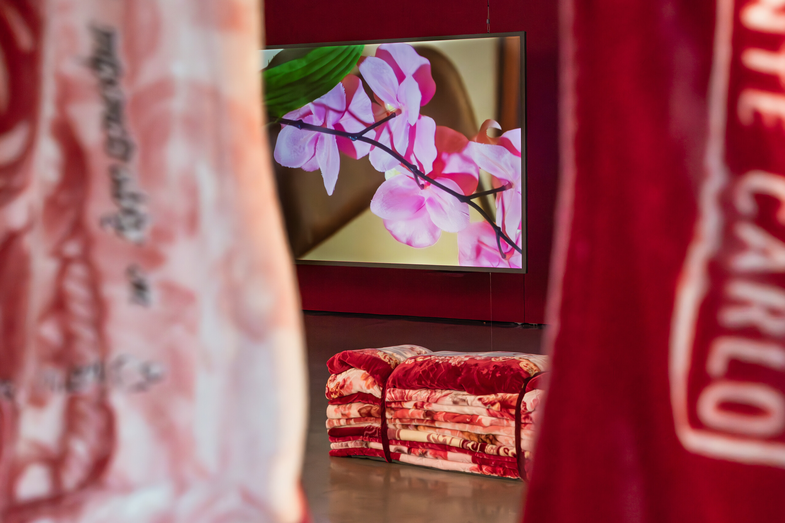 Installation view of Justine Youssef, <em>Somewhat Eternal</em>, UTS Gallery, 2023. Photo: Jacquie Manning