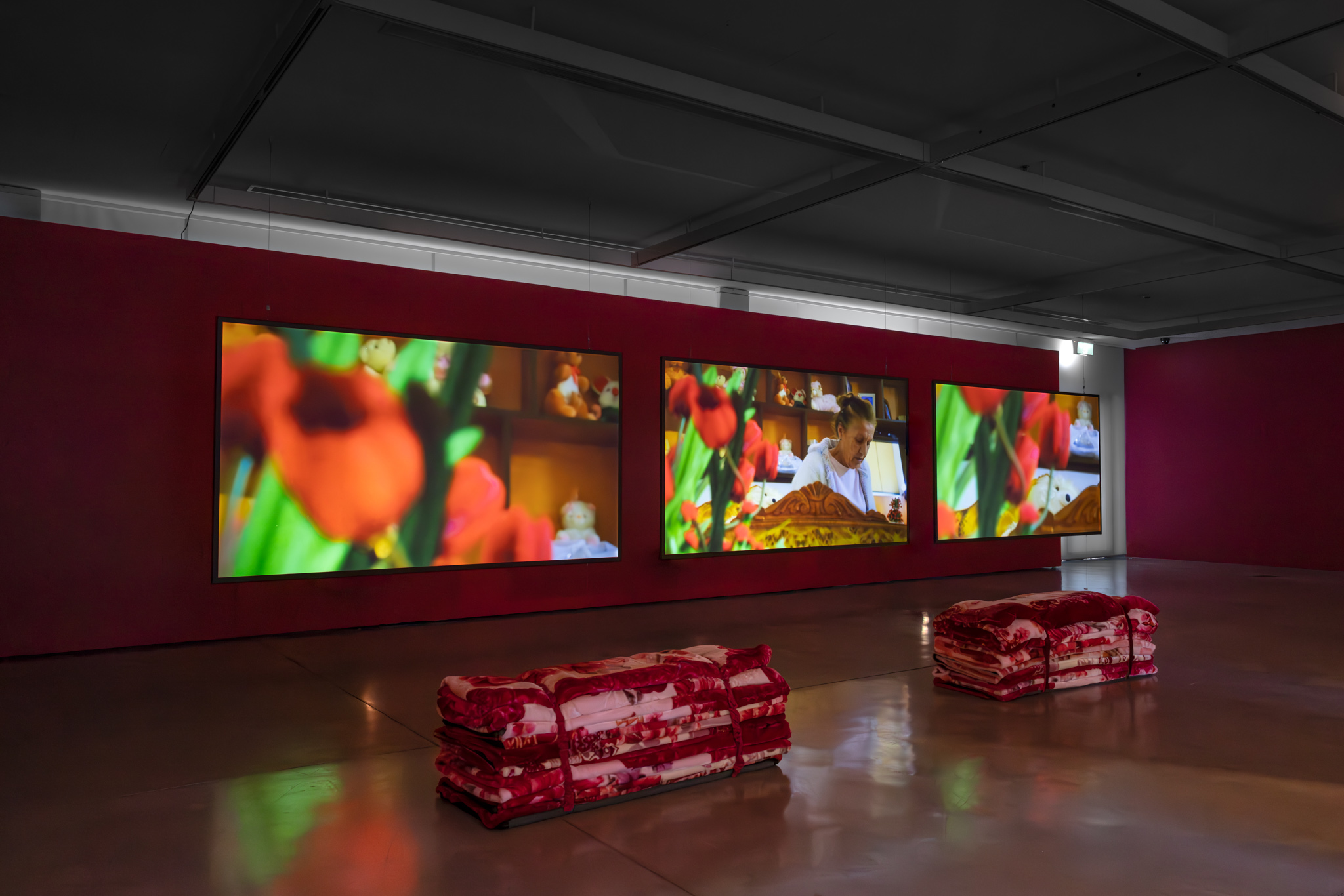 Installation view of Justine Youssef, <em>Somewhat Eternal</em>, UTS Gallery, 2023. Photo: Jacquie Manning