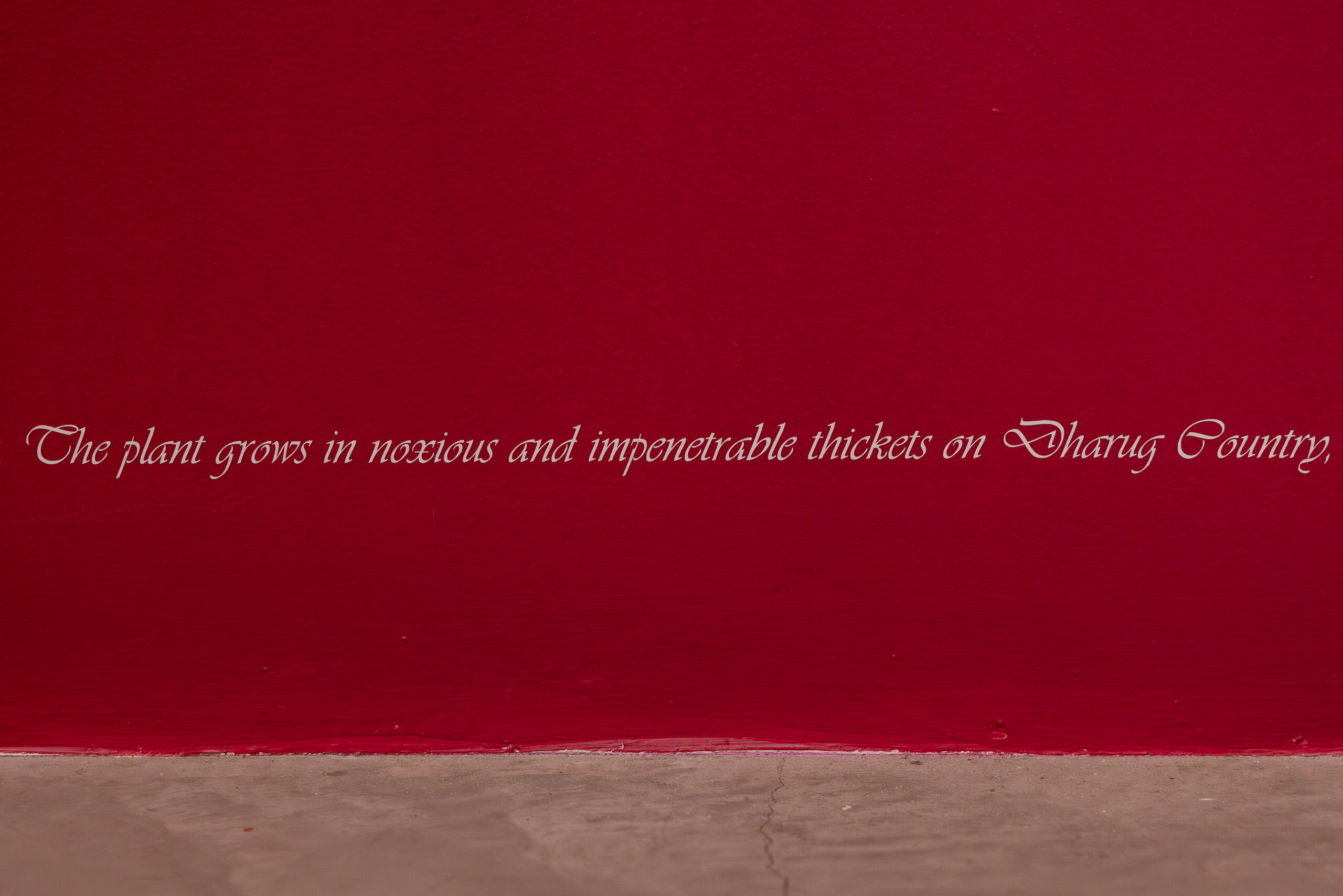 Installation view of Justine Youssef, <em>Somewhat Eternal</em>, UTS Gallery, 2023. Photo: Jacquie Manning