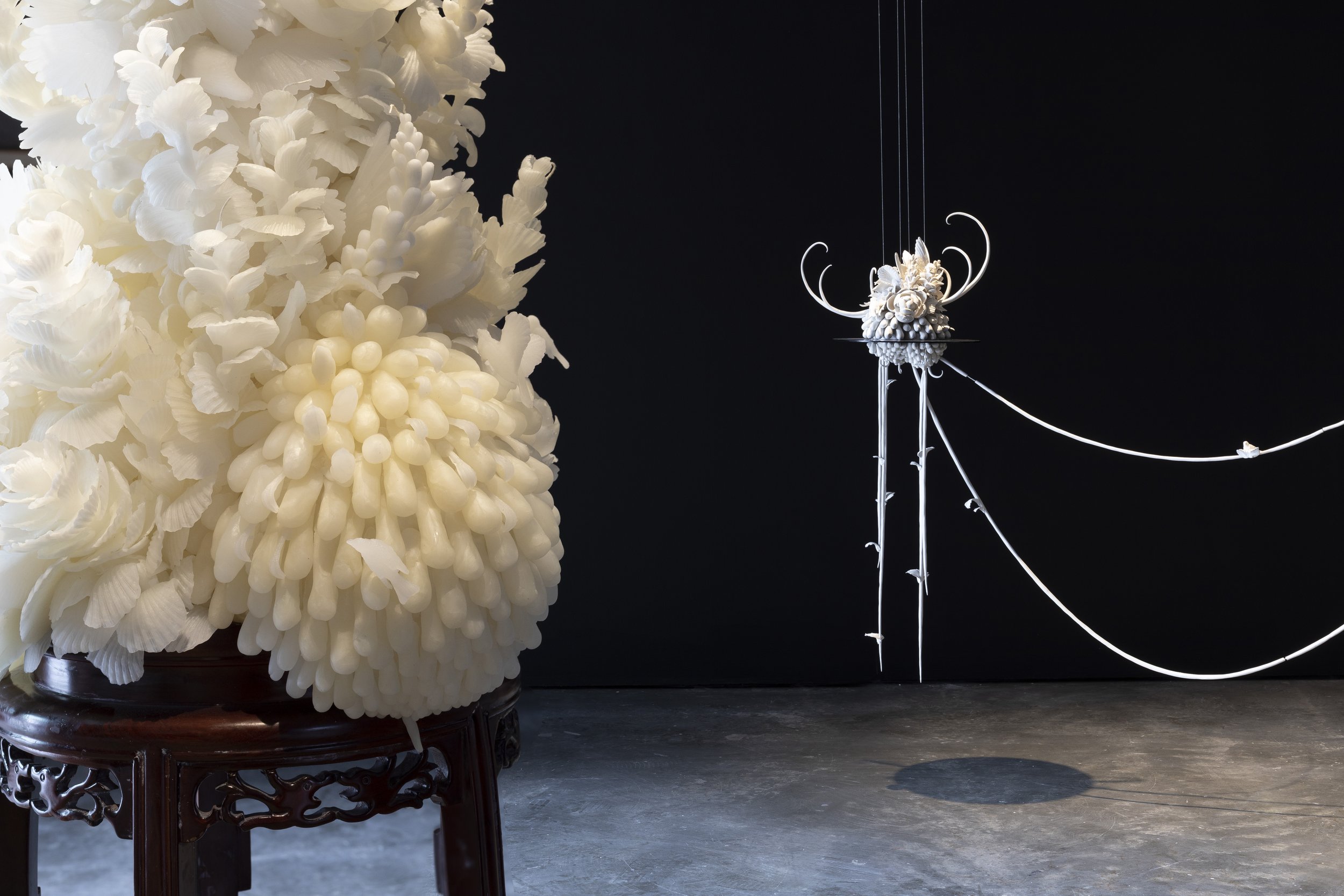 Ruth Ju-Shih Li, Still Life from a Distant Memory (2020-ongoing). Photo: Jessica Maurer