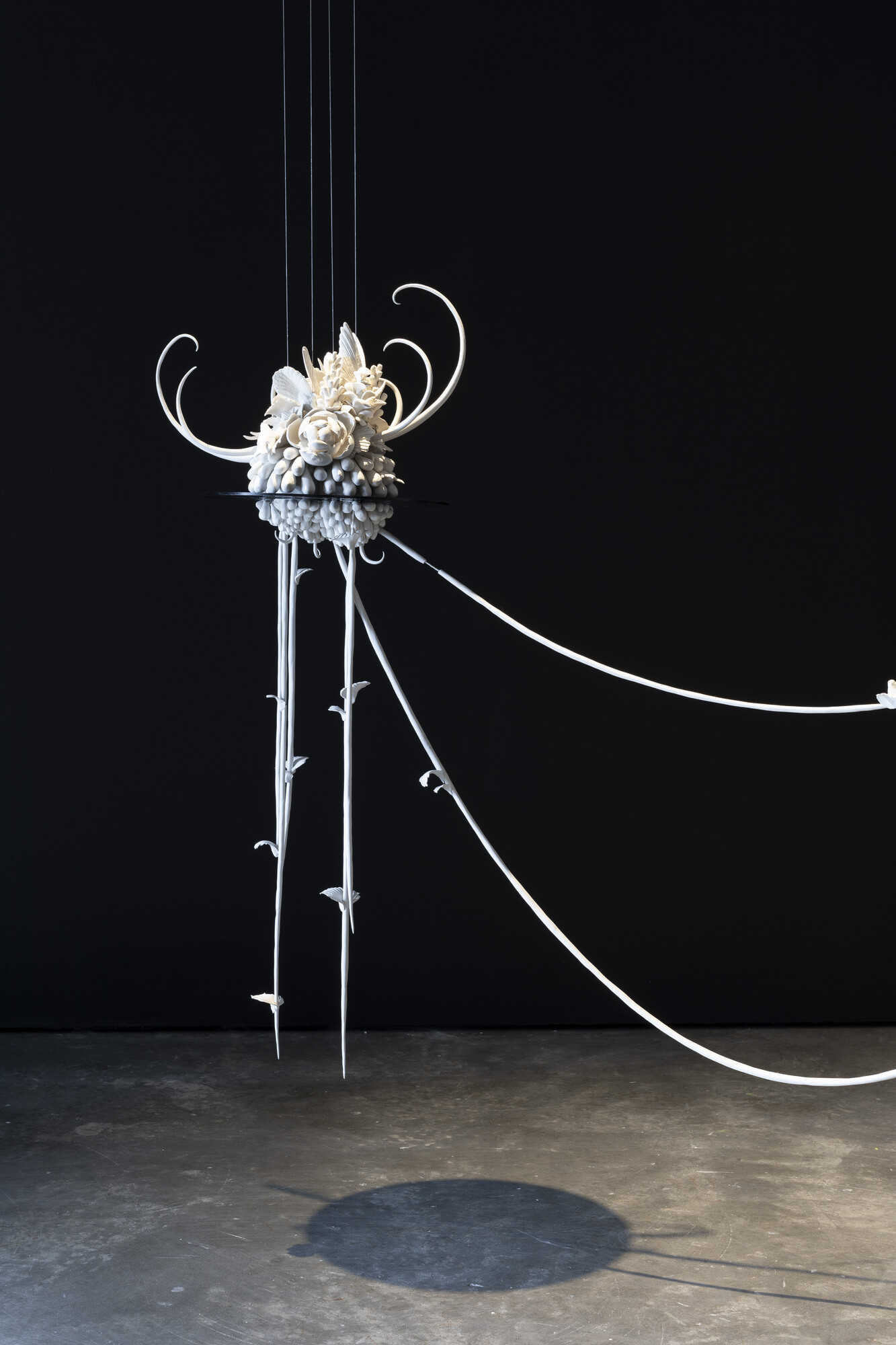 Ruth Ju-Shih Li, <em>Still Life from a Distant Memory</em> (2020-ongoing). Photo: Jessica Maurer