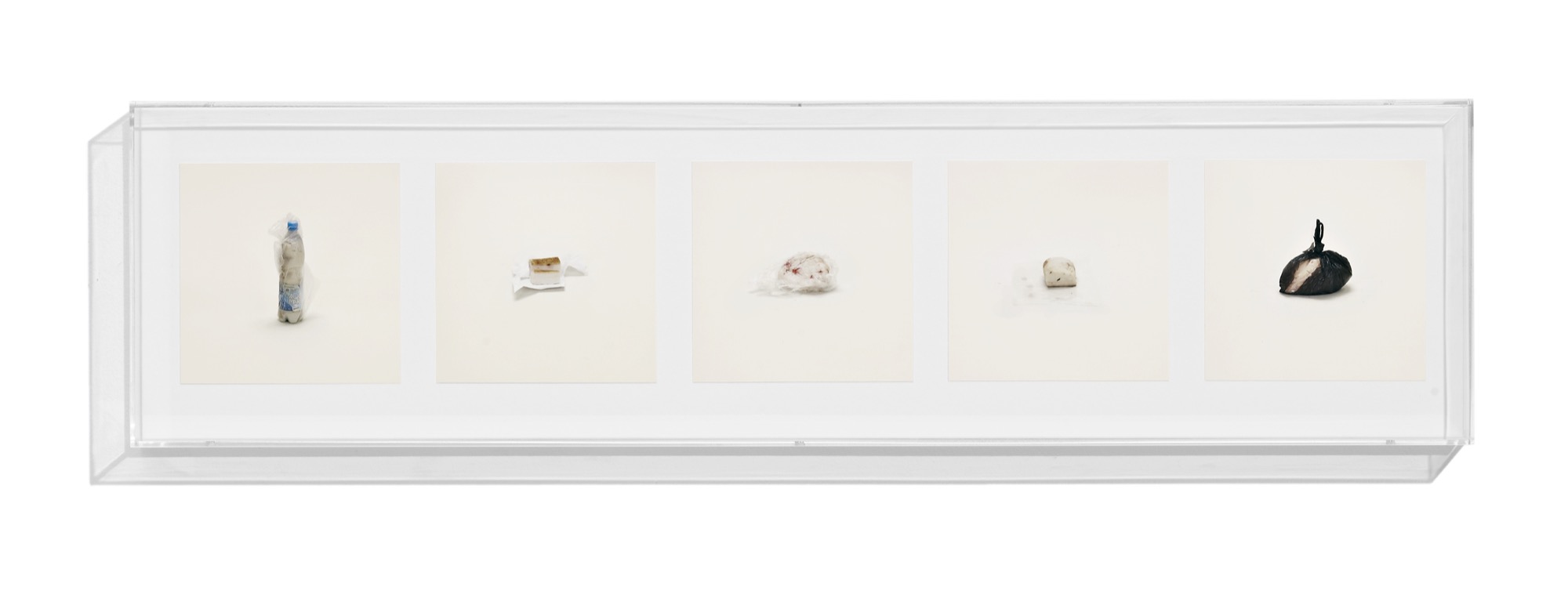 Fat (Prohibited) <em>Contraband</em>, 2010, 5 archival inkjet prints in 1 Plexiglas box and Letraset on wall 9 1⁄4 x 37 1⁄4 inches (23.5 x 94.6 cm) © Taryn Simon. Courtesy Gagosian and Anna Schwartz Gallery.