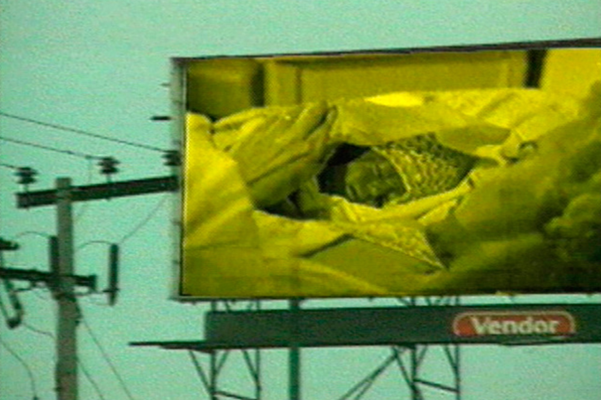 Ximena Cuevas, <em>Natural Instincts</em>, 1999, Super 8mm film transferred to video, 3:00 minutes. Courtesy of Video Data Bank, School of the Art Institute of Chicago