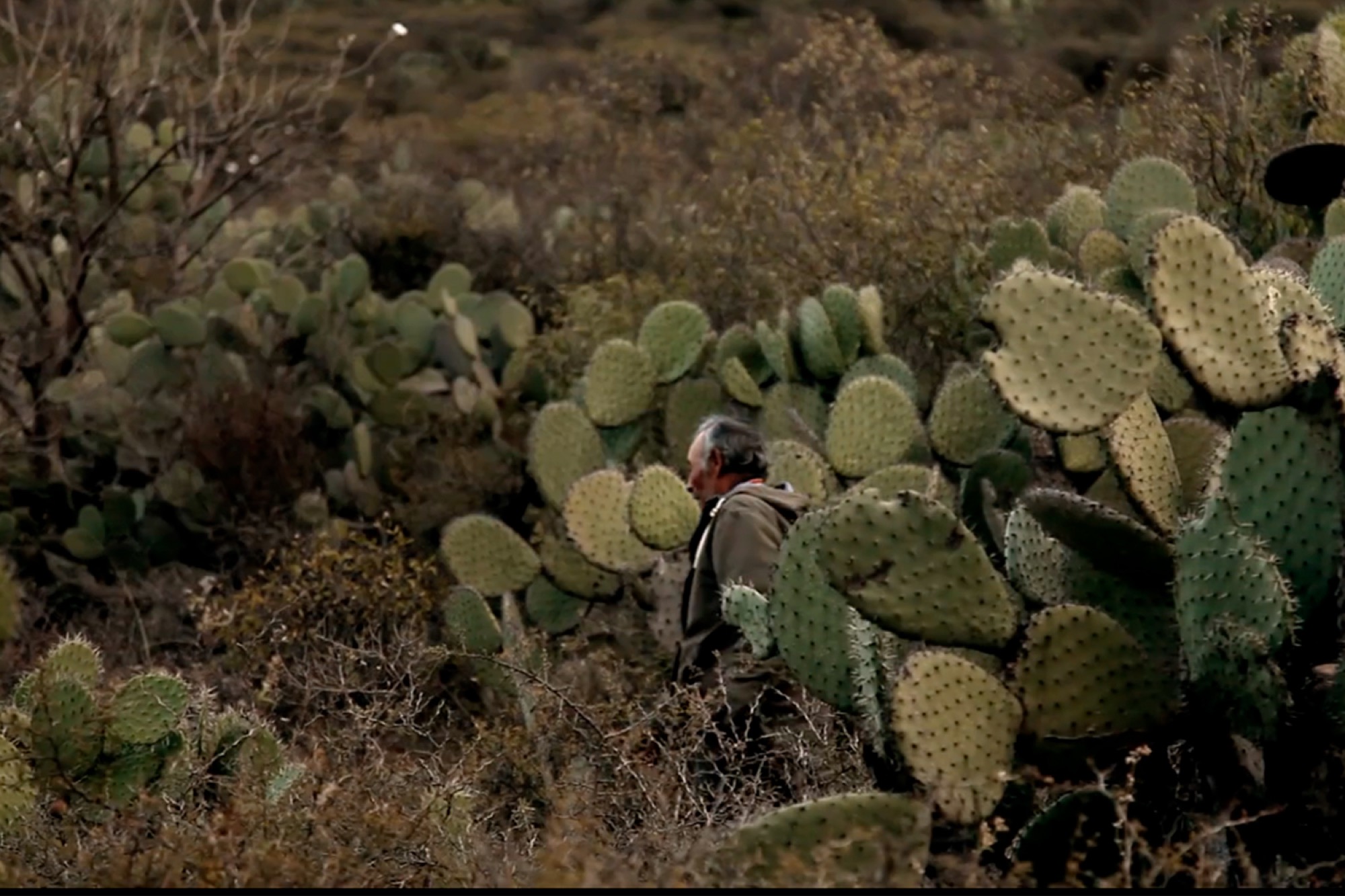 Dalia Huerta and Ivan Puig, <em>Cåsuka</em>, 2016. Short film video, 11:00 minutes