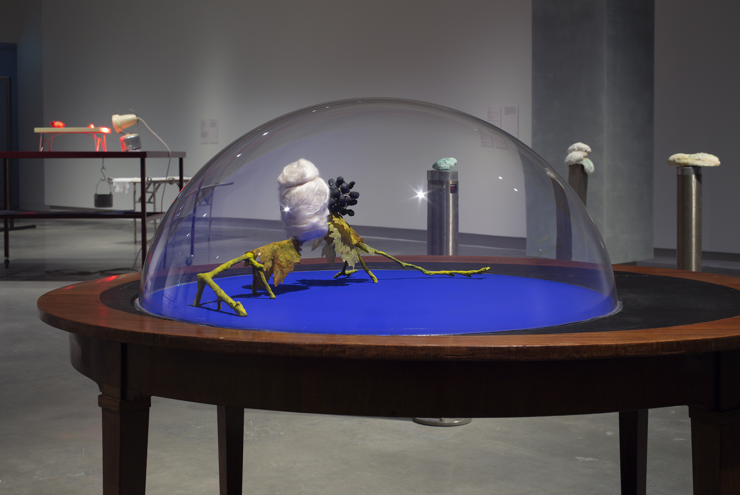 Susan Jacobs, <em>Pasteur’s Grapes Inverted as the Lovers,</em> 2022, installation view. Photography Christian Capurro.