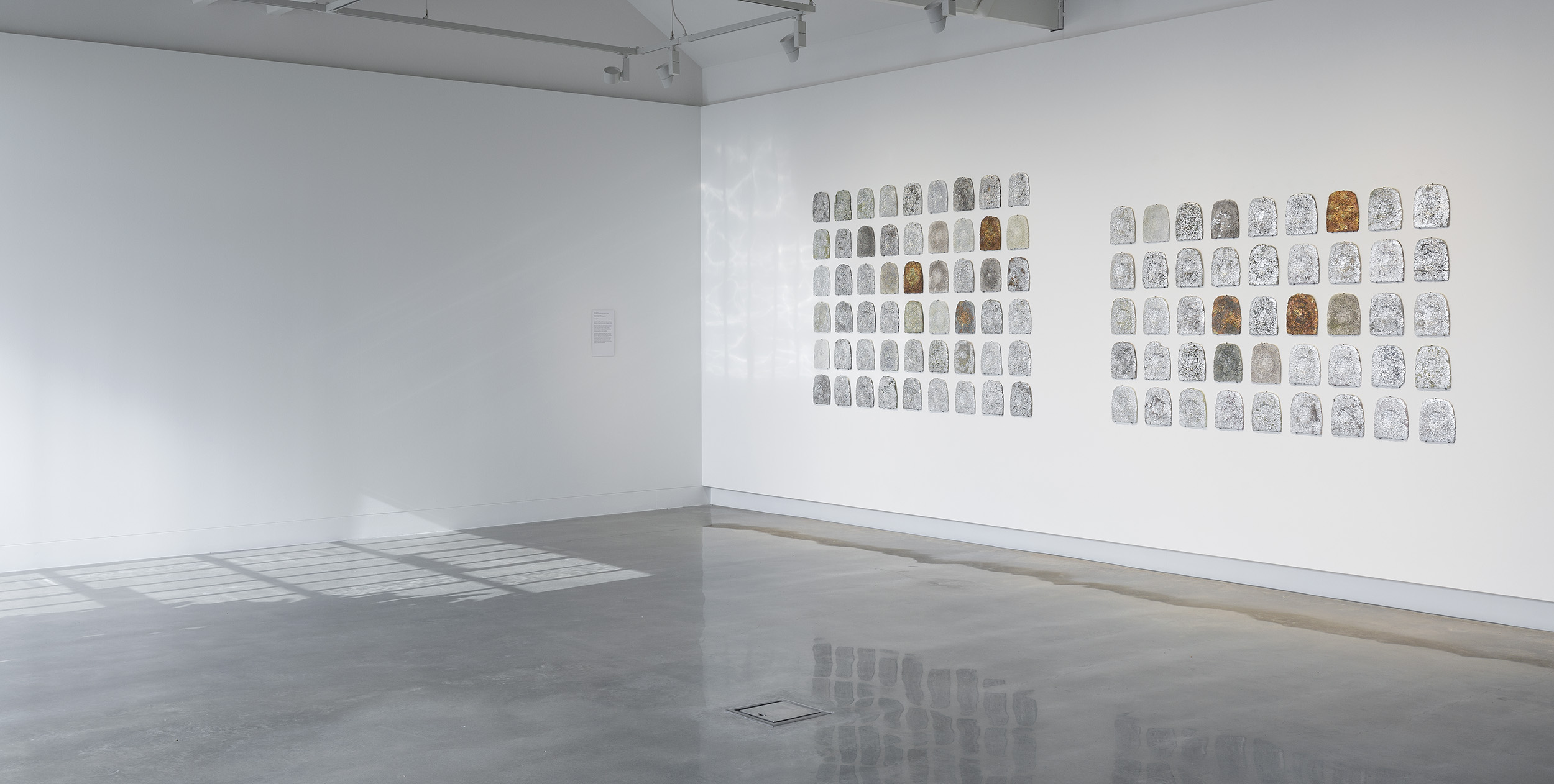 Susan Jacobs, <em>Hindsight 20/202022</em>, installation view. Photography Christian Capurro.
