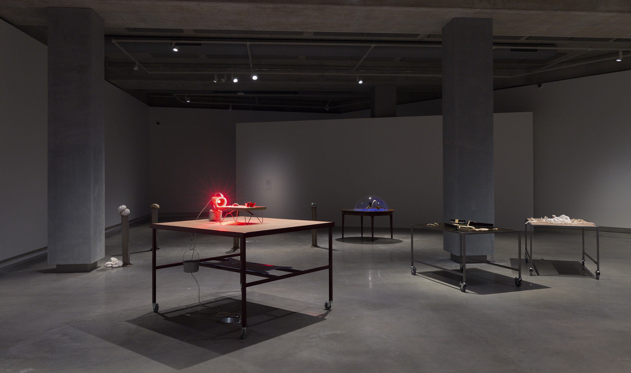 Installation view, Susan Jacobs, The Ants are in the Idiom. Photography Christian Capurro.