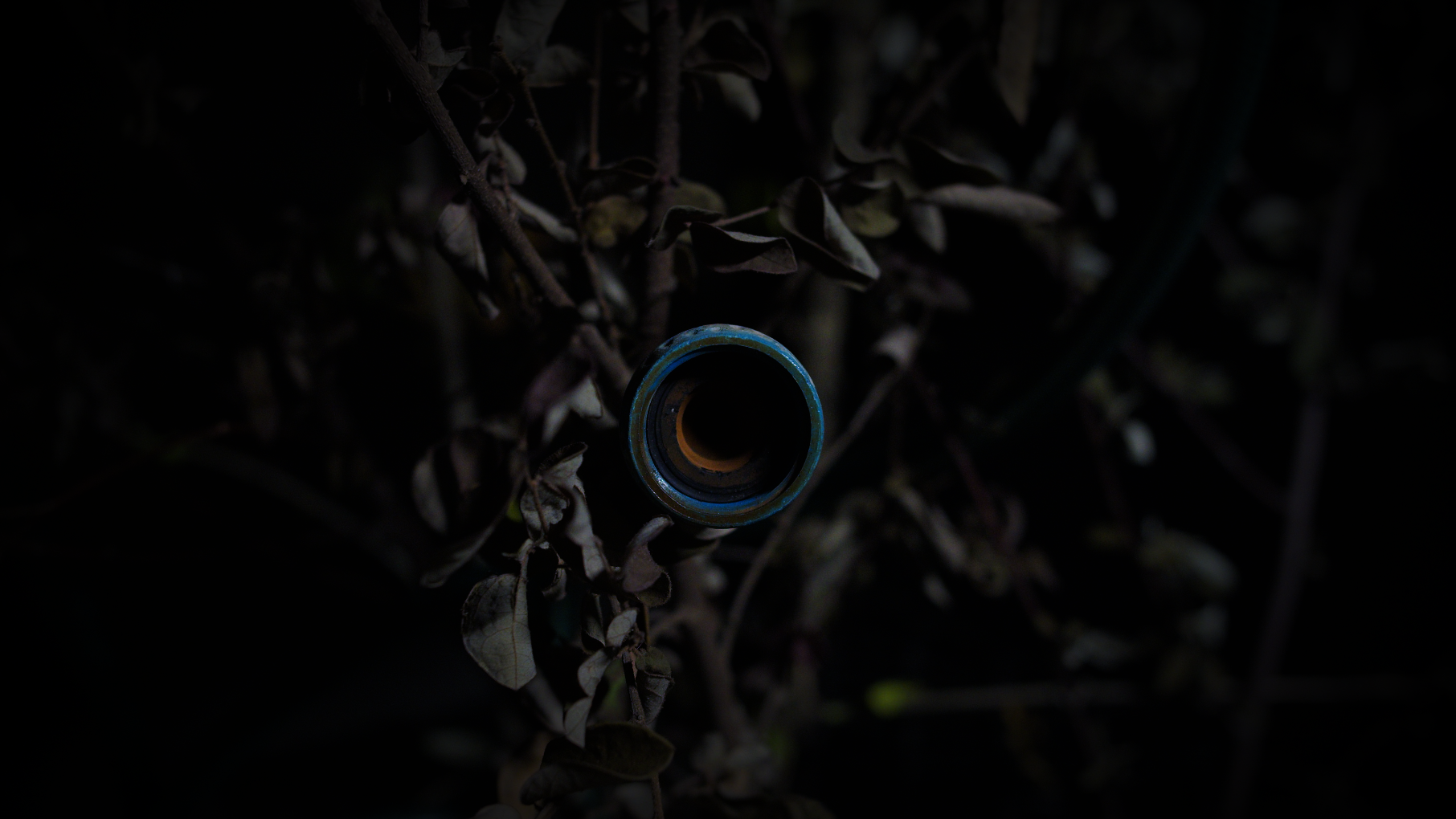 Jarrod Van der Ryken, <em>the buds on the trees and the night were still</em>. Installation detail (video still), Carpark Gallery, Brisbane 2024.