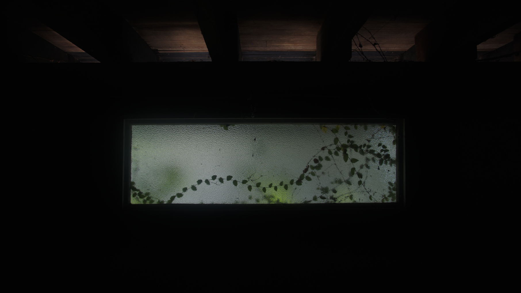 Jarrod Van der Ryken, <em>the buds on the trees and the night were still</em>. Installation detail (video still), Carpark Gallery, Brisbane 2024.