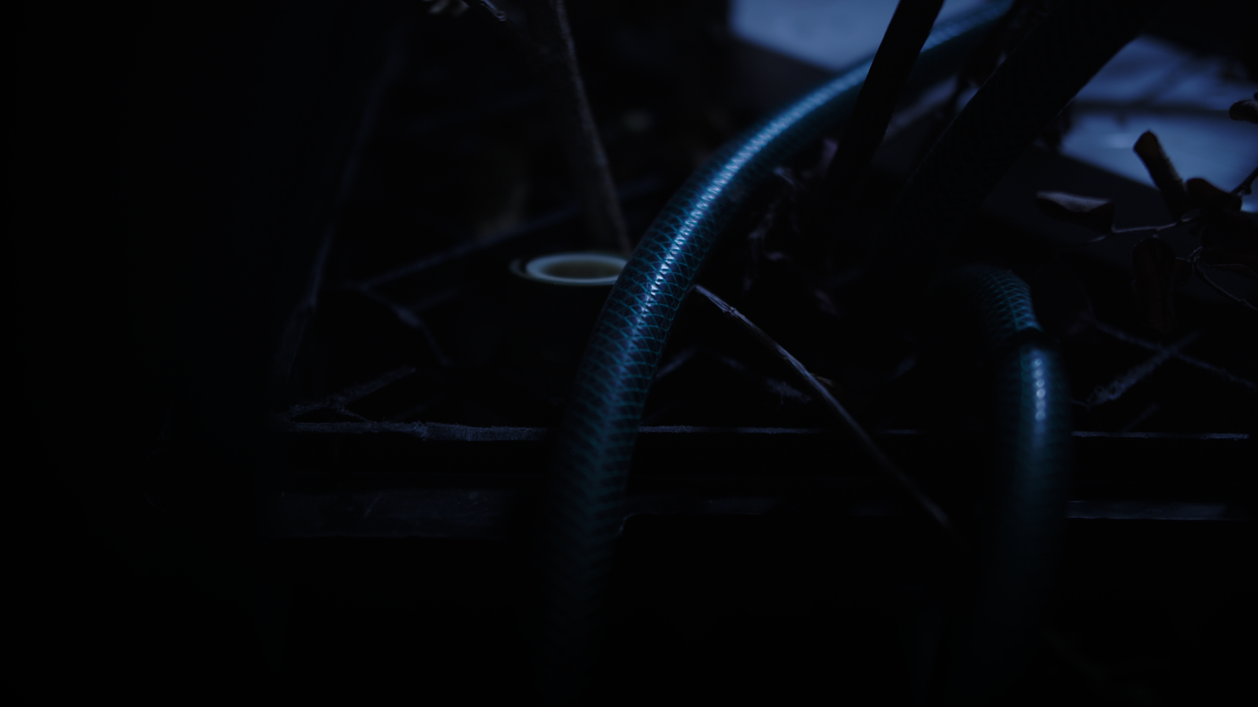 Jarrod Van der Ryken, <em>the buds on the trees and the night were still</em>. Installation detail (video still), Carpark Gallery, Brisbane 2024.
