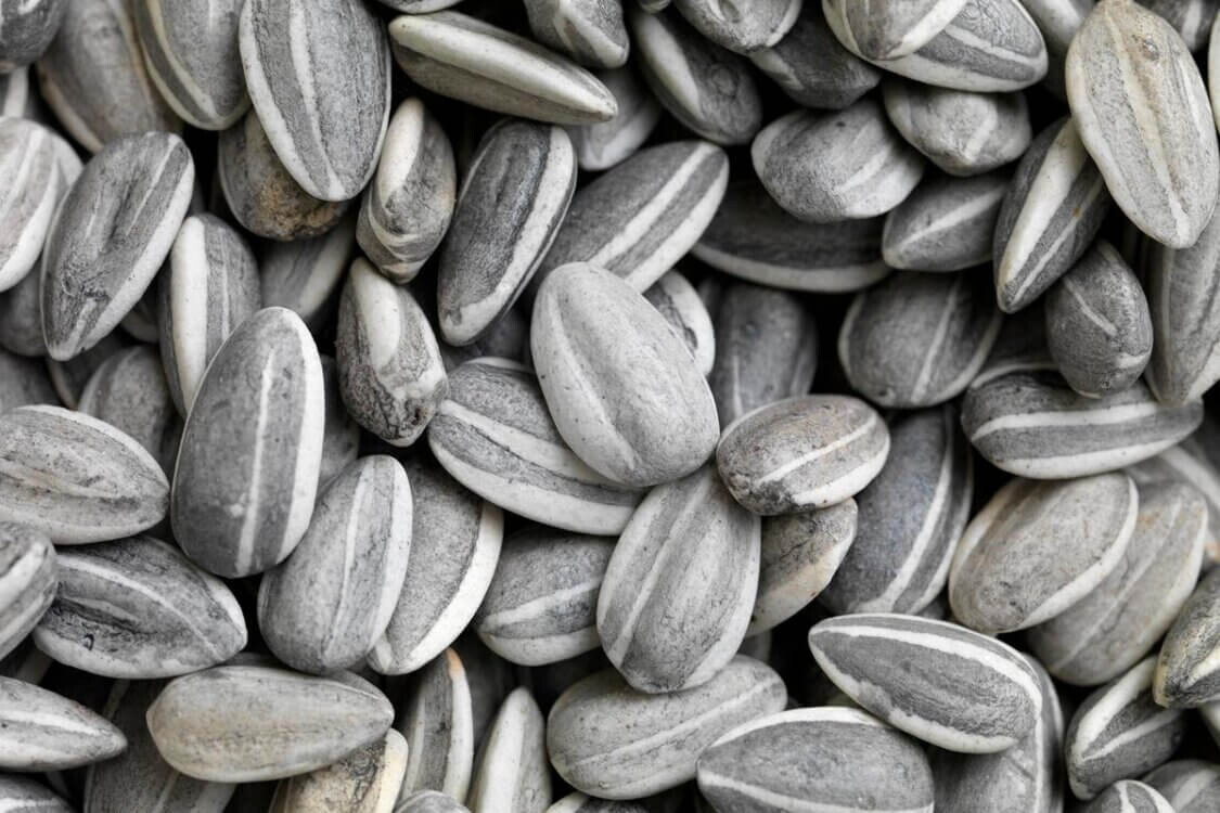 <p>Ai Weiwei, <em>Sunflower Seeds,</em> 2009, porcelain<br>weight approximately 500kg. </p>