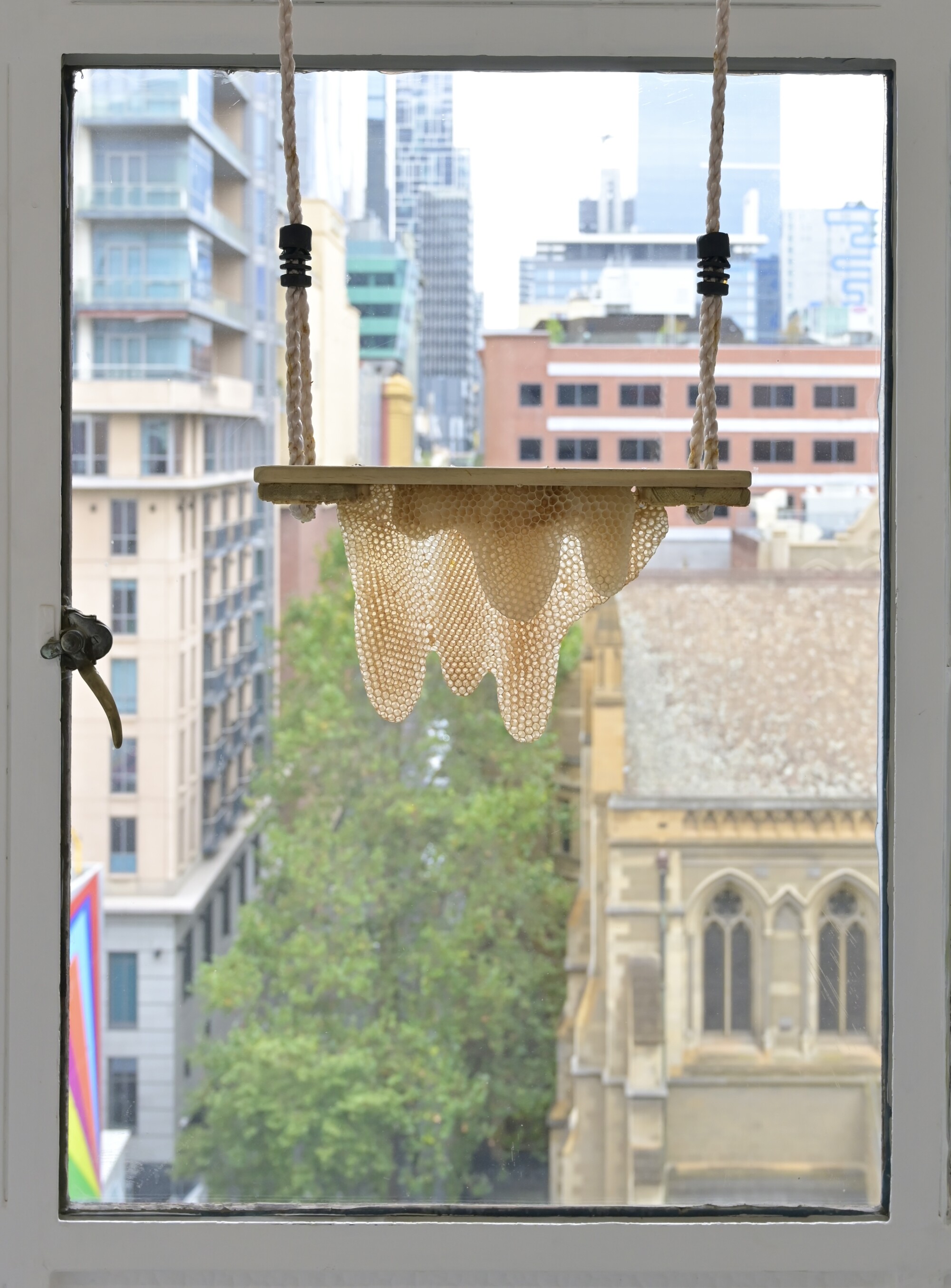 Installation view of <em>Communal Atmosphere or The Space The Air (Falls) behind you as you move</em>, curated by Rozalind Drummond, Caves, Melbourne, 2022. Honeyfingers, <em>Playground Love</em>, 2022, rope, pine, honeycomb, steel hanging point, dimensions variable. Photo: Caves