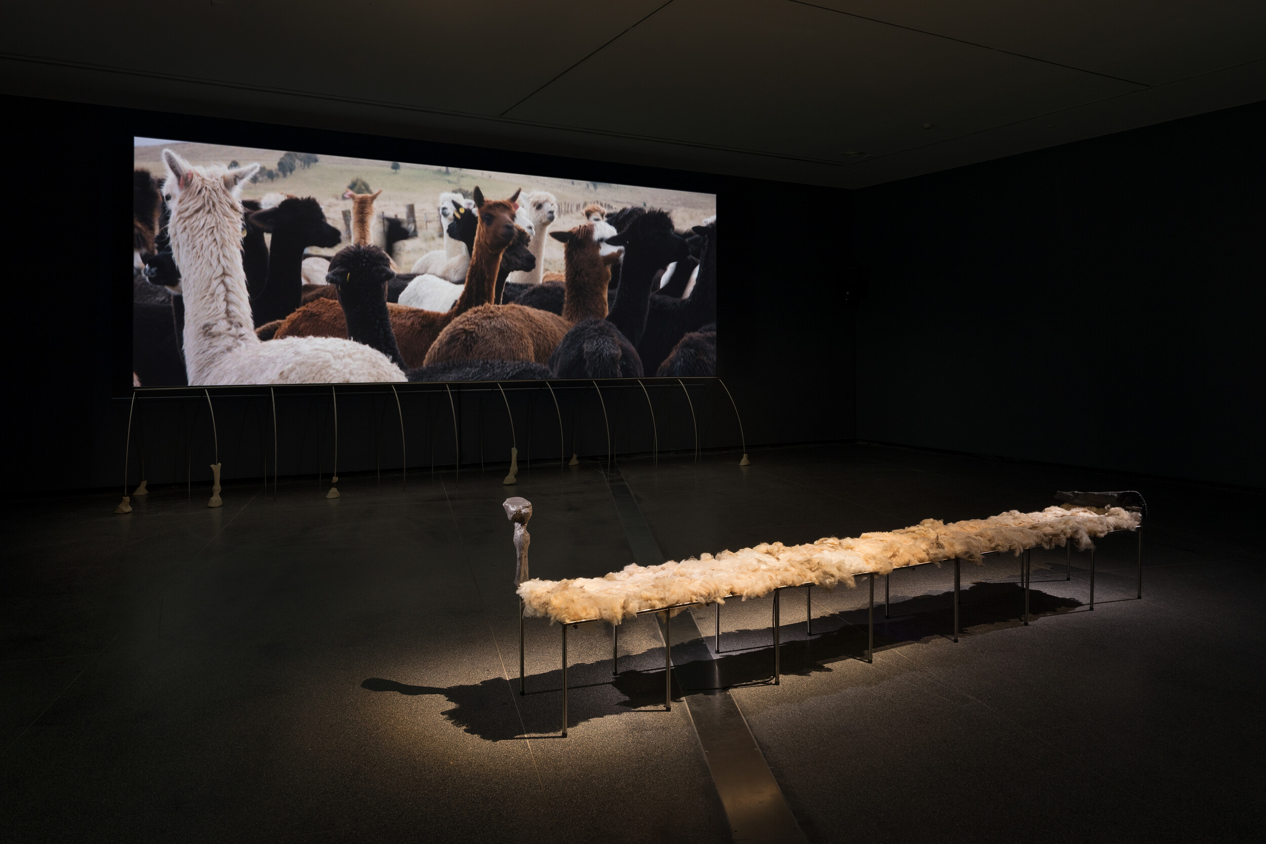 <p>Installation view of Tina Stefanou, <em>Field of Triggers: Centipede,</em> 2025, Australian Centre for Contemporary Art, Melbourne. Courtesy the artists. Photograph: Andrew Curtis</p>