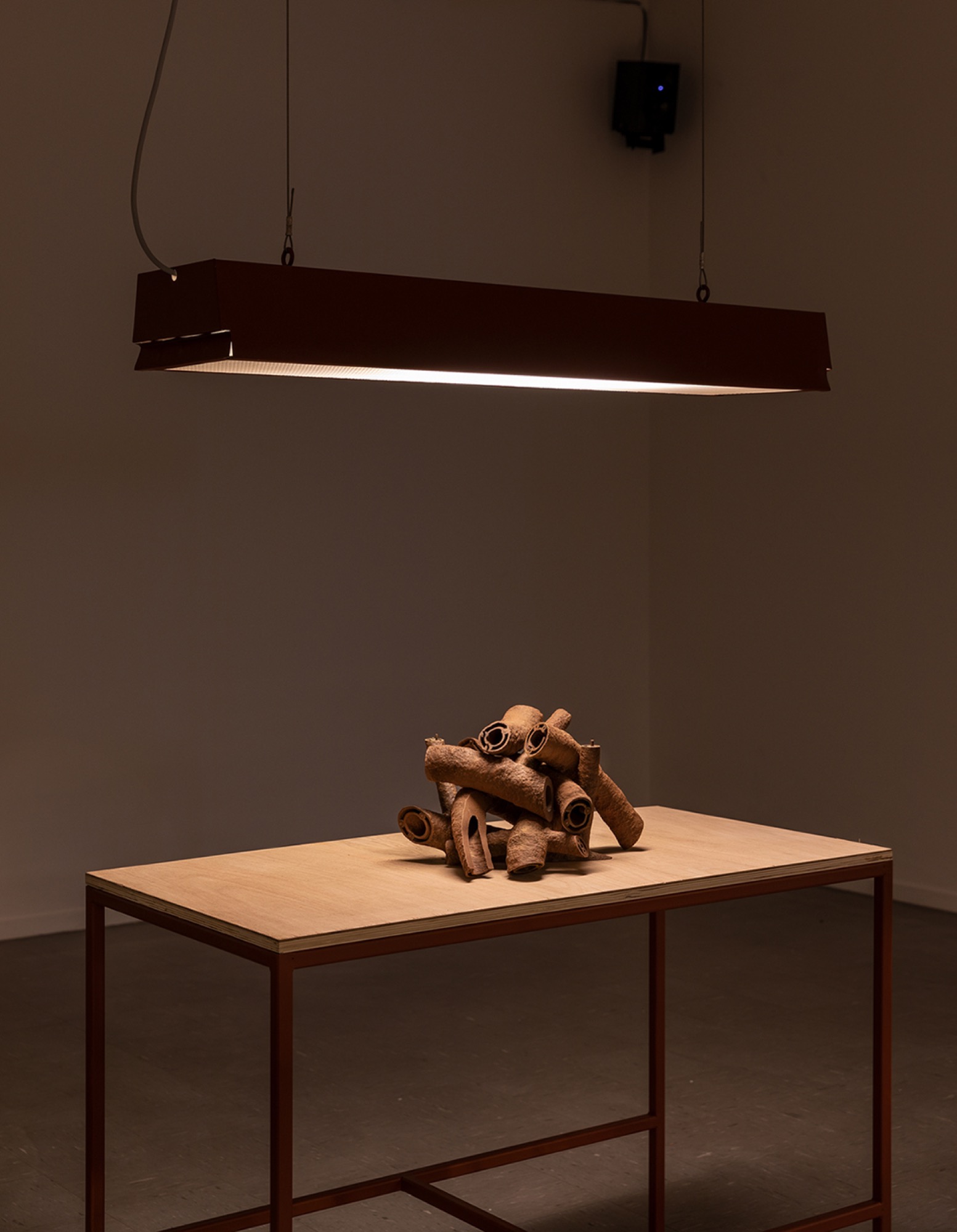 Nicholas Mangan, <em>Termite Economies</em> (detail), 2018. Courtesy of the artist and Sutton Gallery. Photo: Andrew Curtis.