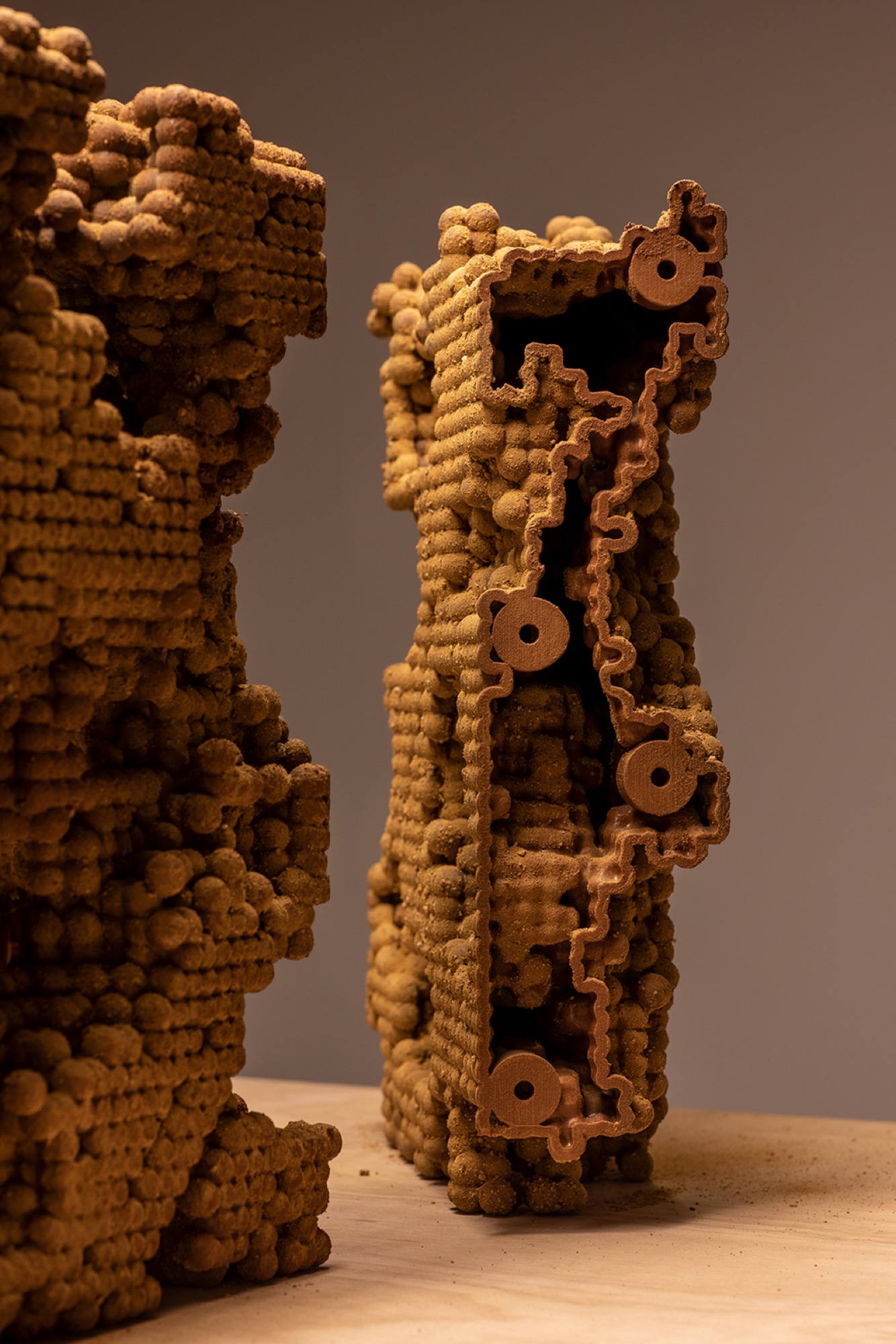 Nicholas Mangan, <em>Termite Economies</em> (detail), 2018. Courtesy of the artist and Sutton Gallery. Photo: Andrew Curtis.