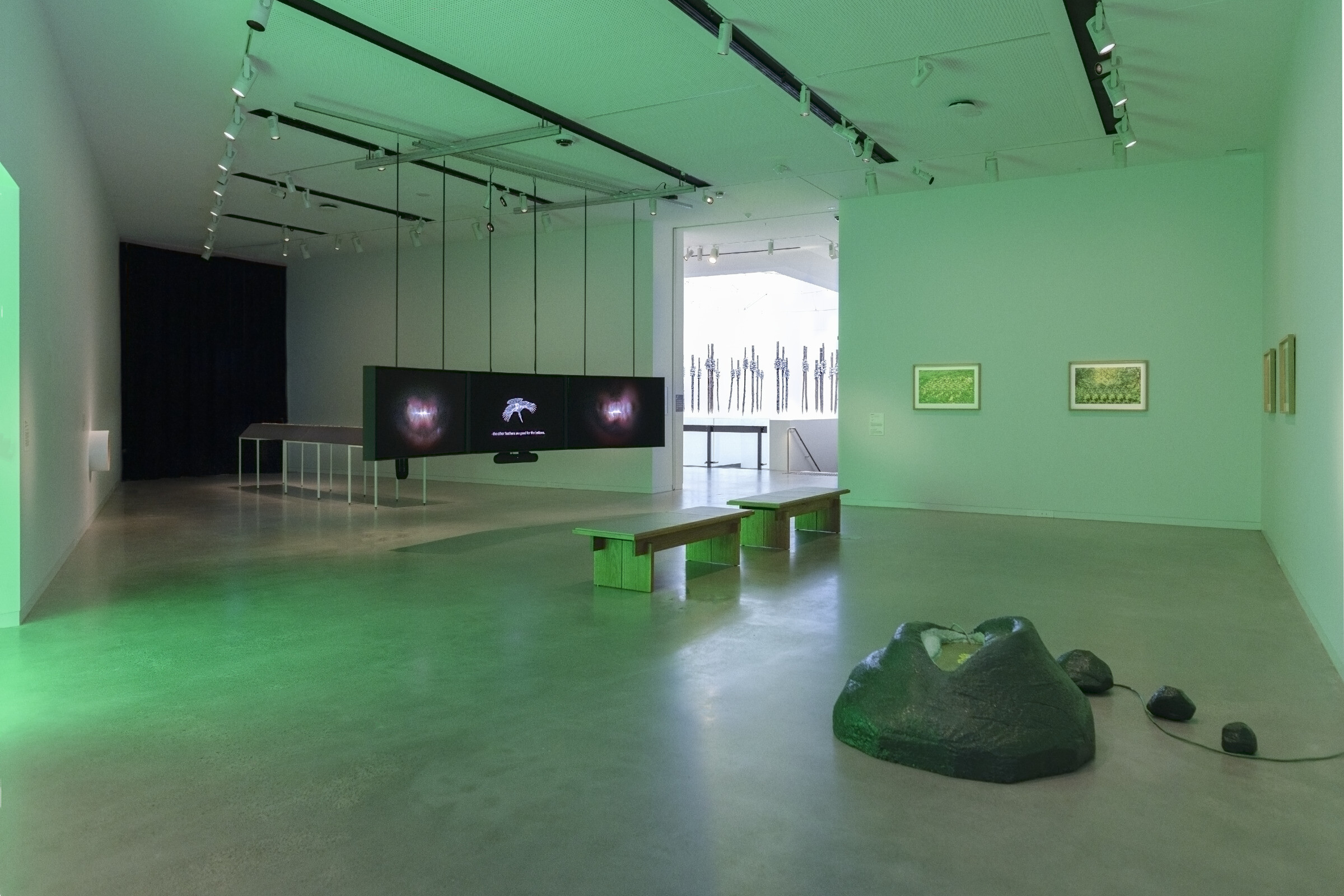 <p>Installation view of <em>Tiyan Baker: Mouth Mnemonica</em>, 2026, Newcastle Art Gallery. Photo: Edwina Richards.</p>