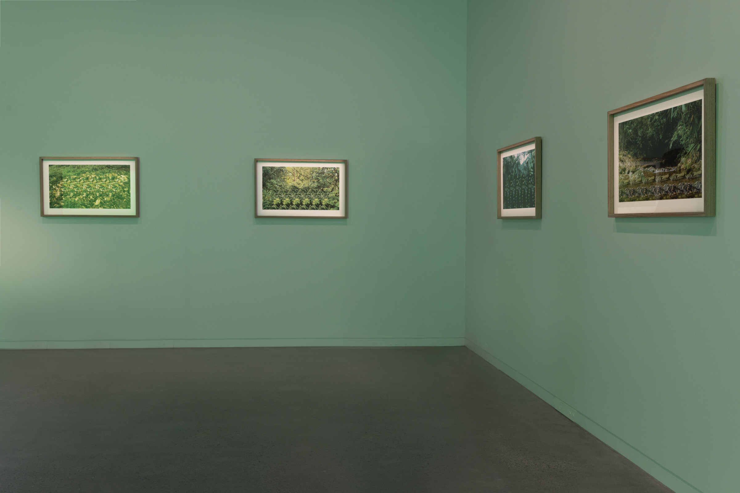 <p>Installation view of Tiyan Baker, <em>nyatu’ maanǔn mungut bigabu</em>, 2021, digital autostereogram prints on cotton rag paper. <em>Tiyan Baker: Mouth Mnemonica</em>, 2026, Newcastle Art Gallery. Photo: Edwina Richards.</p>