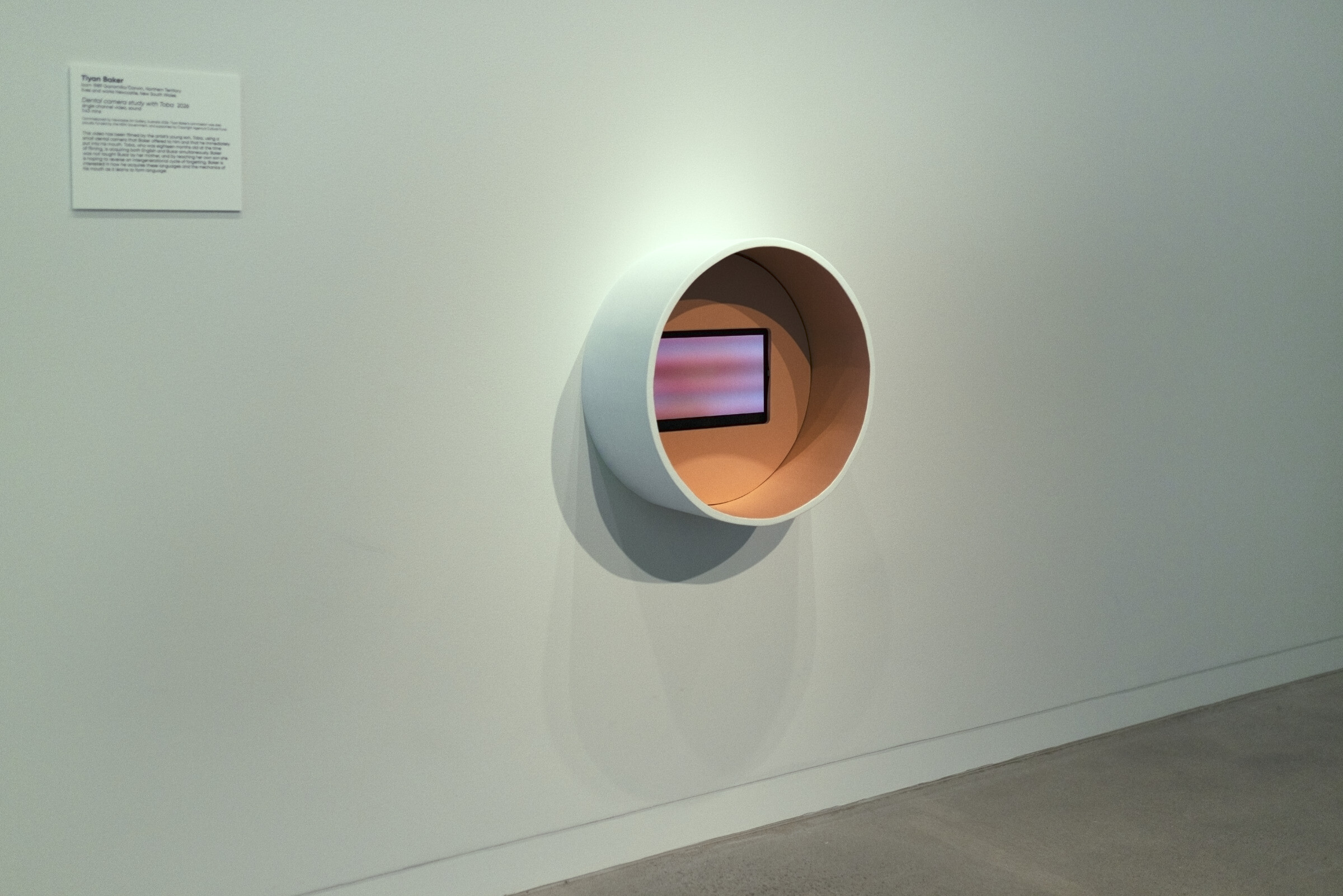 <p>Installation view of Tiyan Baker, <em>Dental camera study with Toba</em>, 2026, single channel video, 1:43 minutes. <em>Tiyan Baker: Mouth Mnemonica</em>, 2026, Newcastle Art Gallery. Photo: Edwina Richards.</p>